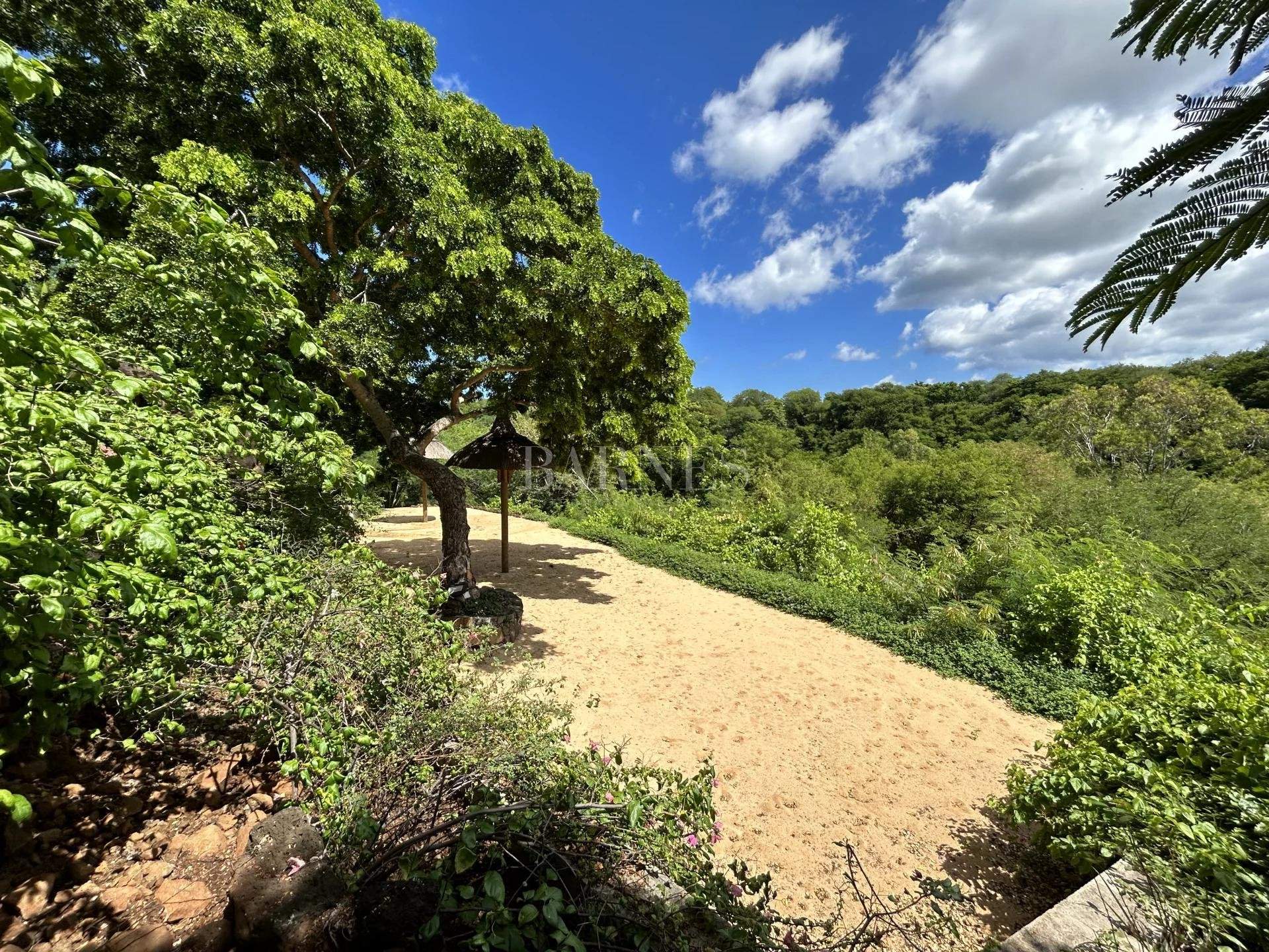 Tamarin  - Villa 4 Bedrooms - picture 16