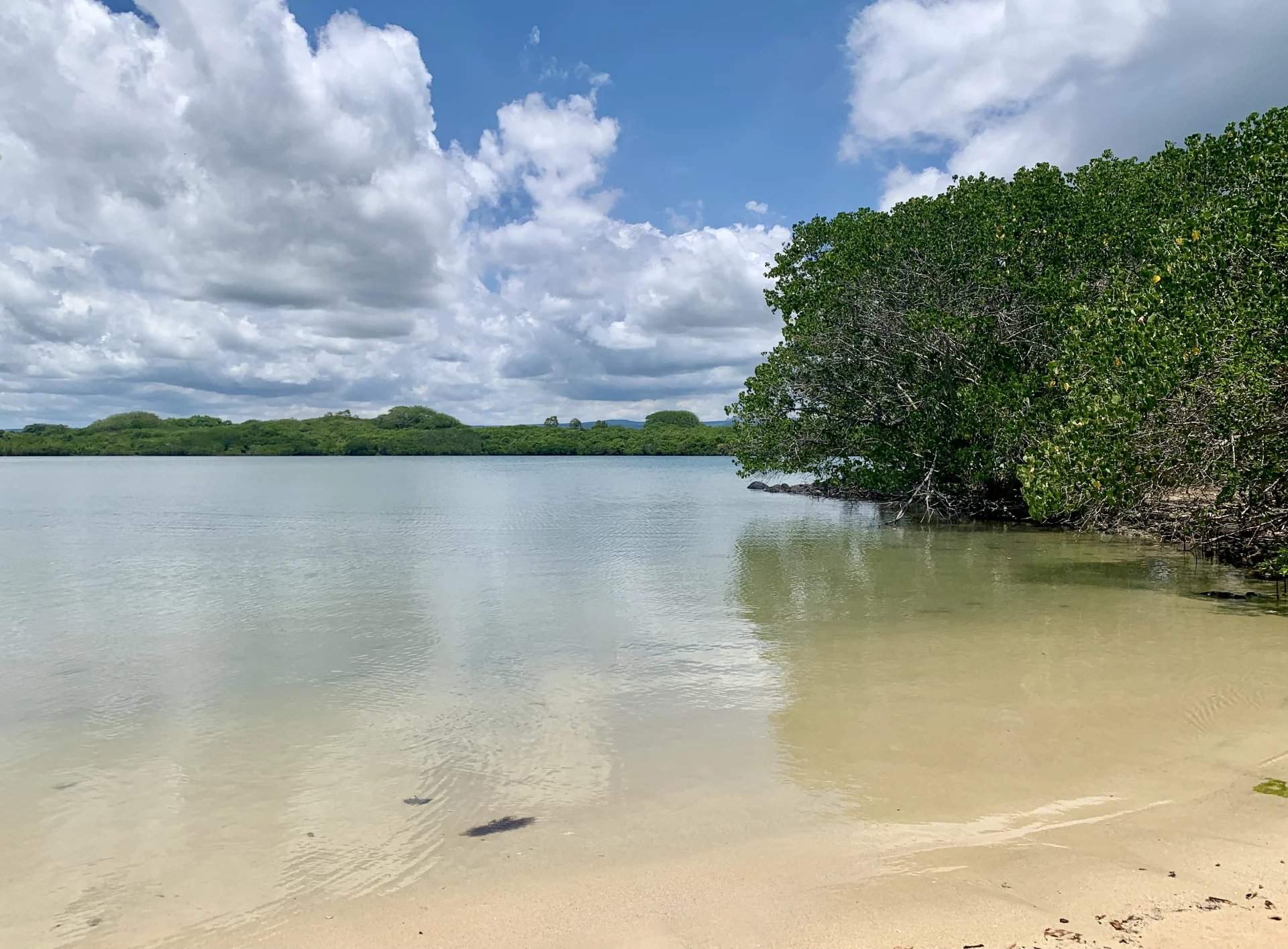 Belle Mare  - Villa 4 Pi&egrave;ces 3 Chambres - picture 13