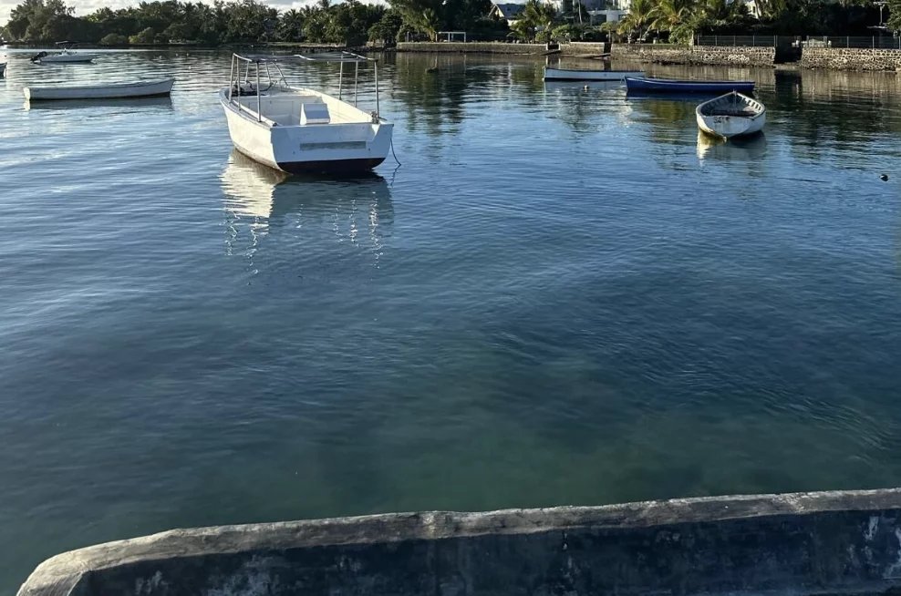 Roches Noires  - Property 7 Bedrooms - picture 7