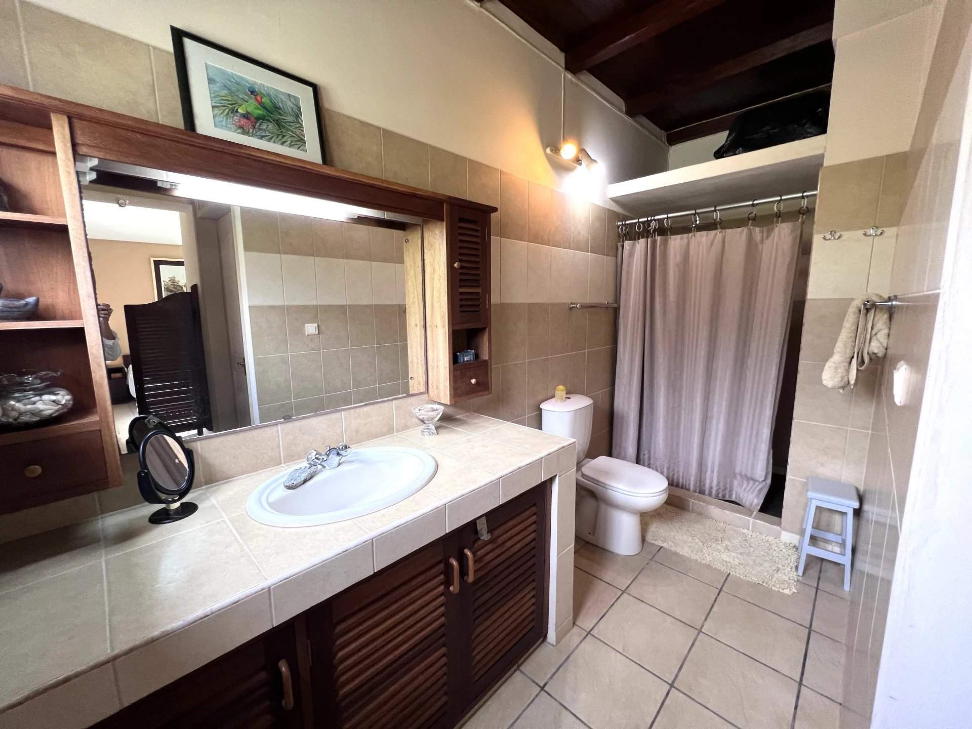 Bras d'Eau  - Propriété 8 Pi&egrave;ces 5 Chambres - picture 8