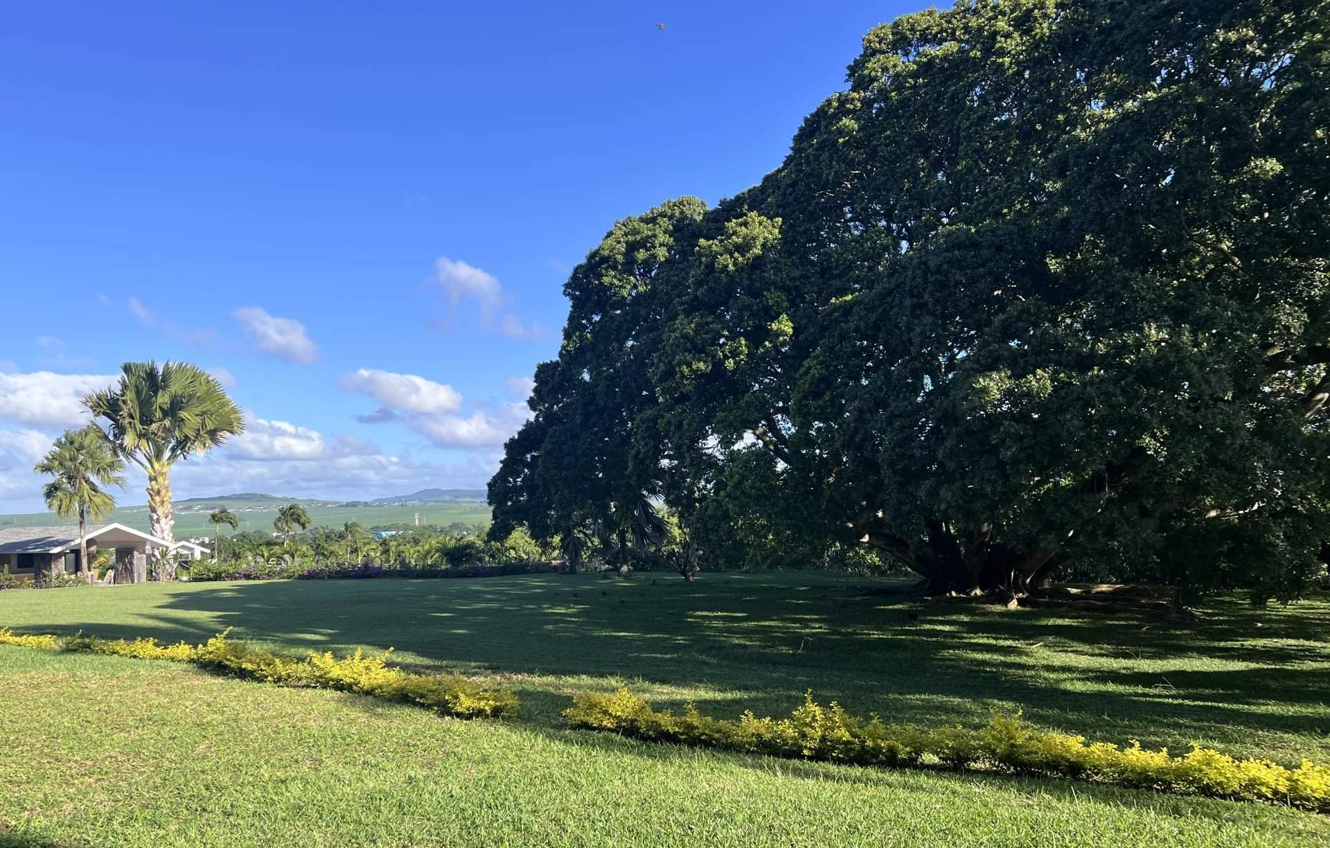 Belle Vue Harel  - Appartement 4 Pi&egrave;ces 3 Chambres - picture 13
