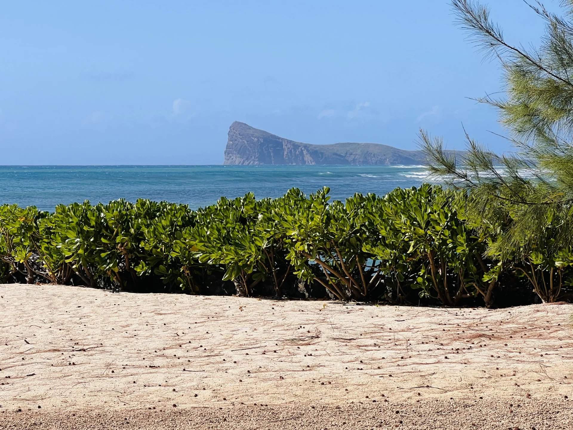 Pereybère  - Apartment 3 Bedrooms - picture 1