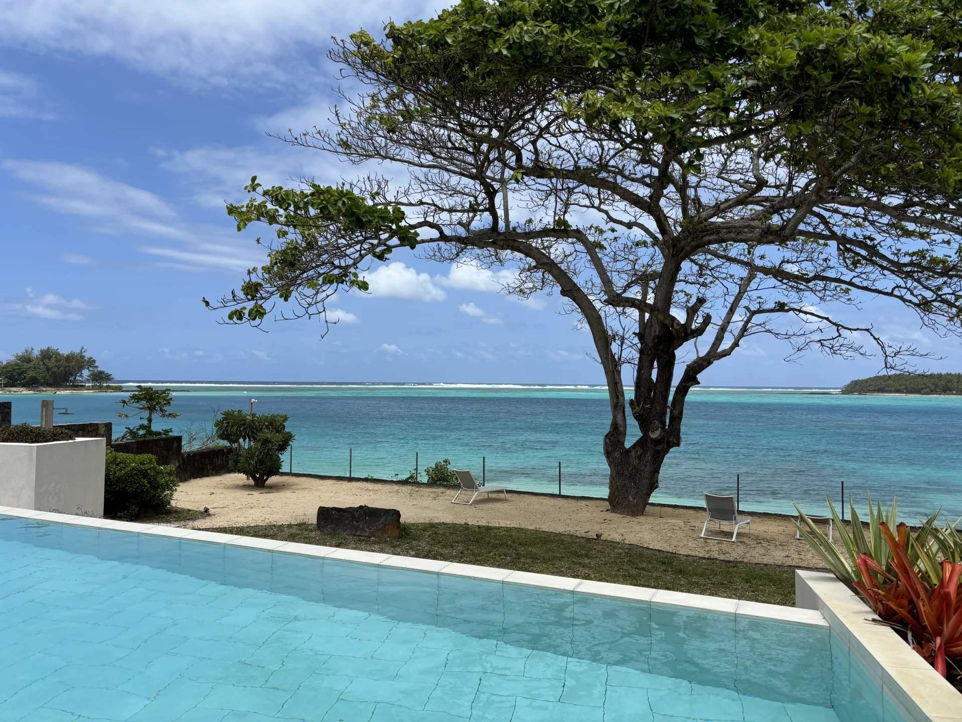 Blue Bay  - Apartment 3 Bedrooms - picture 12