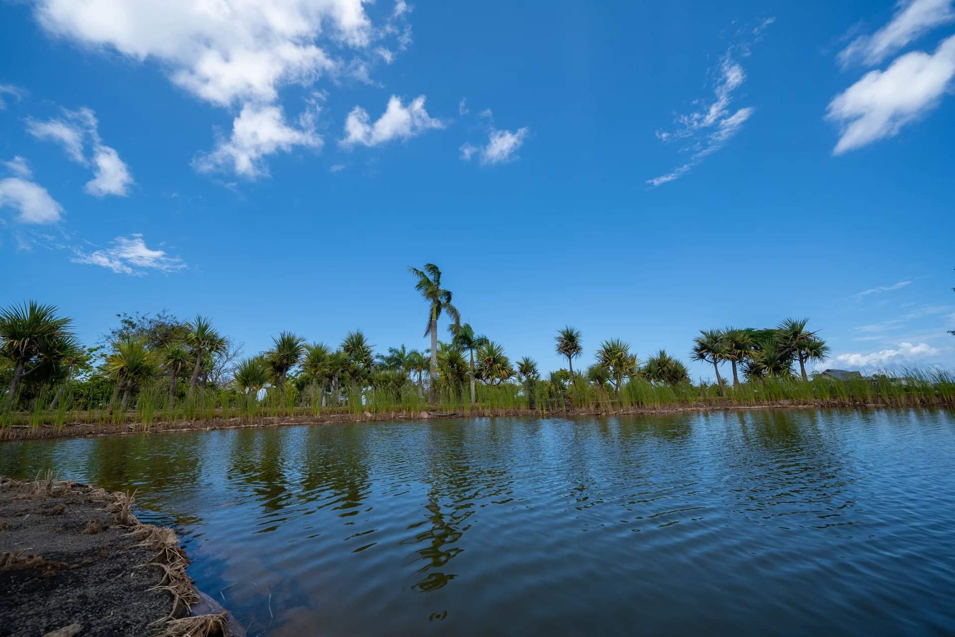 Balaclava  - Villa 3 Bedrooms - picture 16