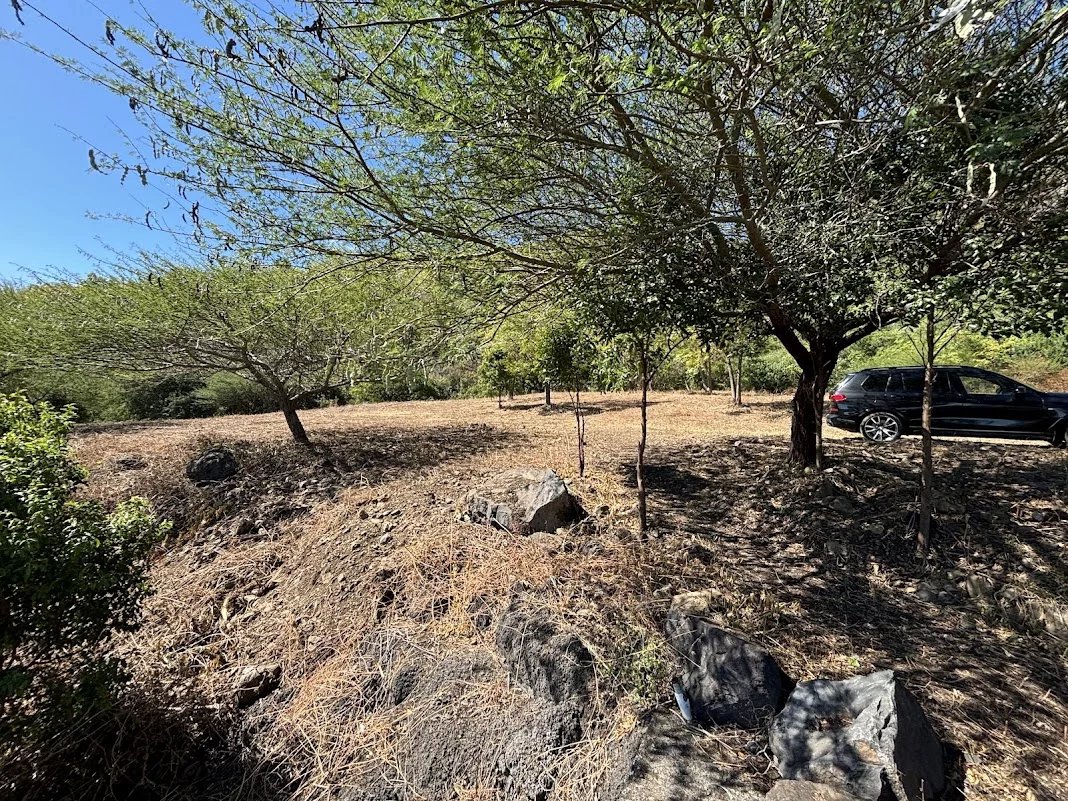 Pailles  - Terrain résidentiel  - picture 4