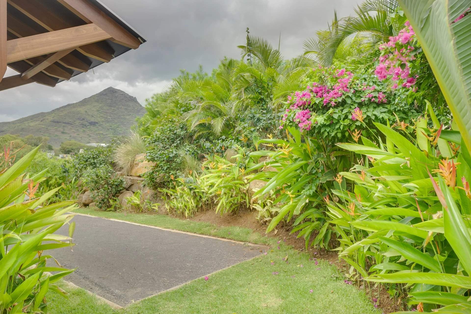 Tamarin  - House 3 Bedrooms - picture 17