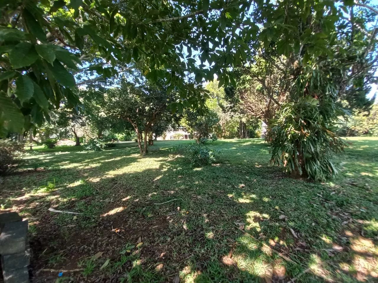 Floréal  - House 4 Bedrooms - picture 10