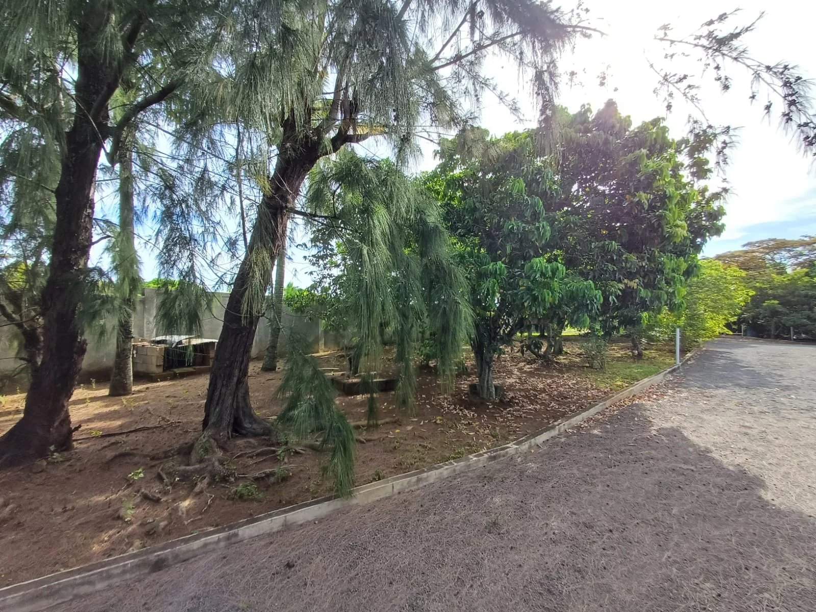 Grand Baie  - Terrain 4 Pi&egrave;ces - picture 9