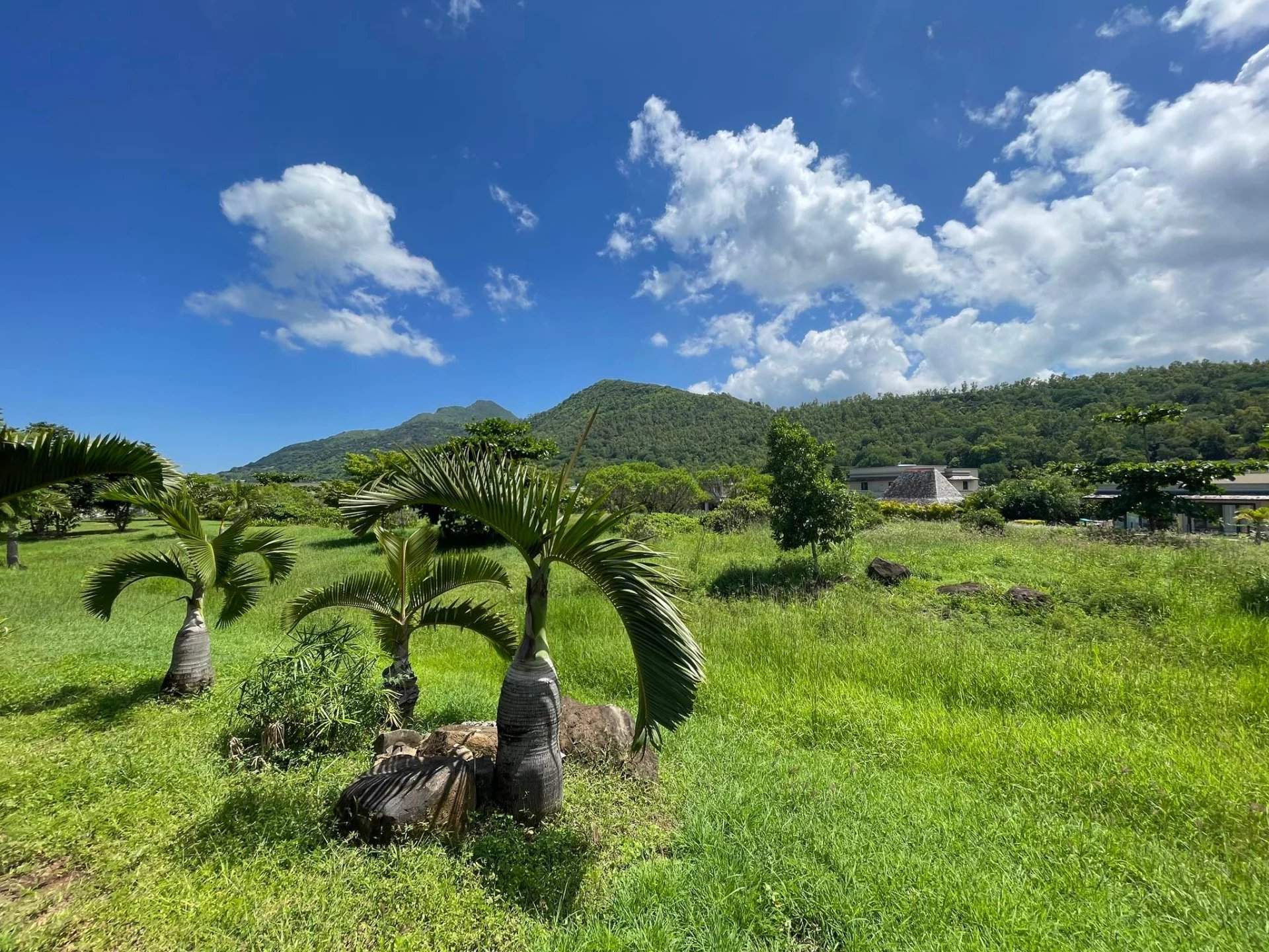 Rivière Noire  - Villa 9 Pi&egrave;ces 4 Chambres - picture 14