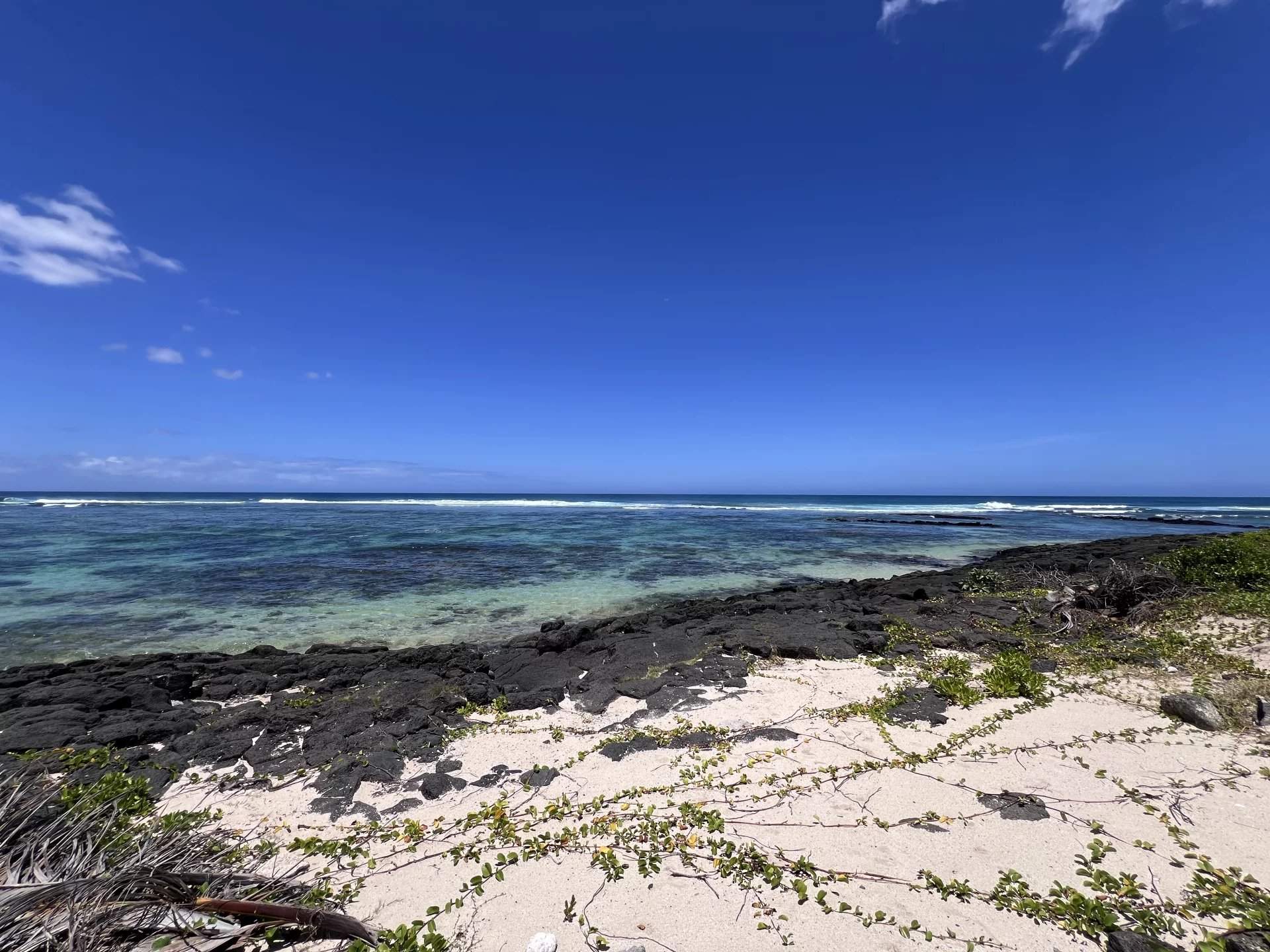 Poste Lafayette  - Property 4 Bedrooms - picture 3