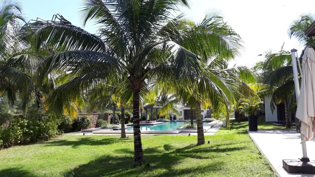 Balaclava  - Apartment 3 Bedrooms - picture 8