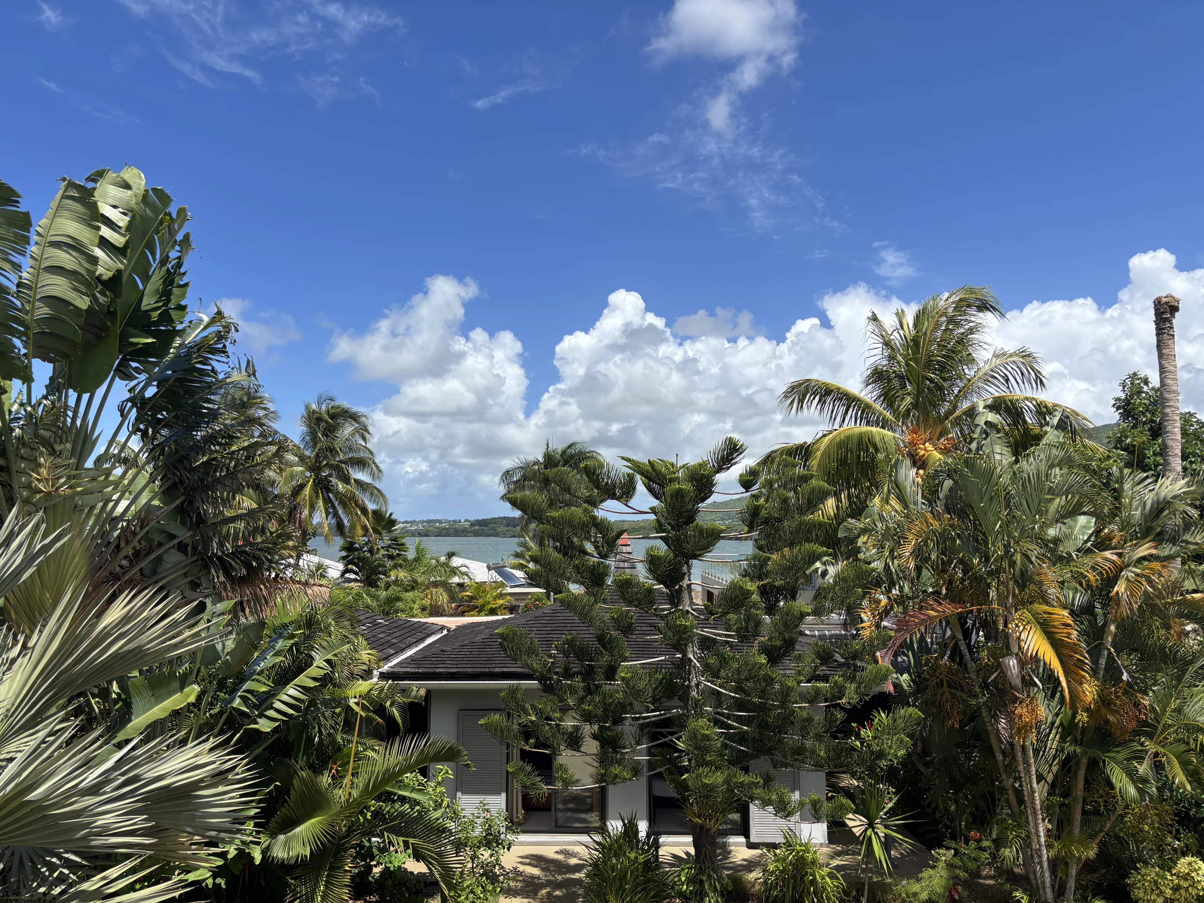 Vieux Grand Port  - Maison 7 Pi&egrave;ces 6 Chambres - picture 19