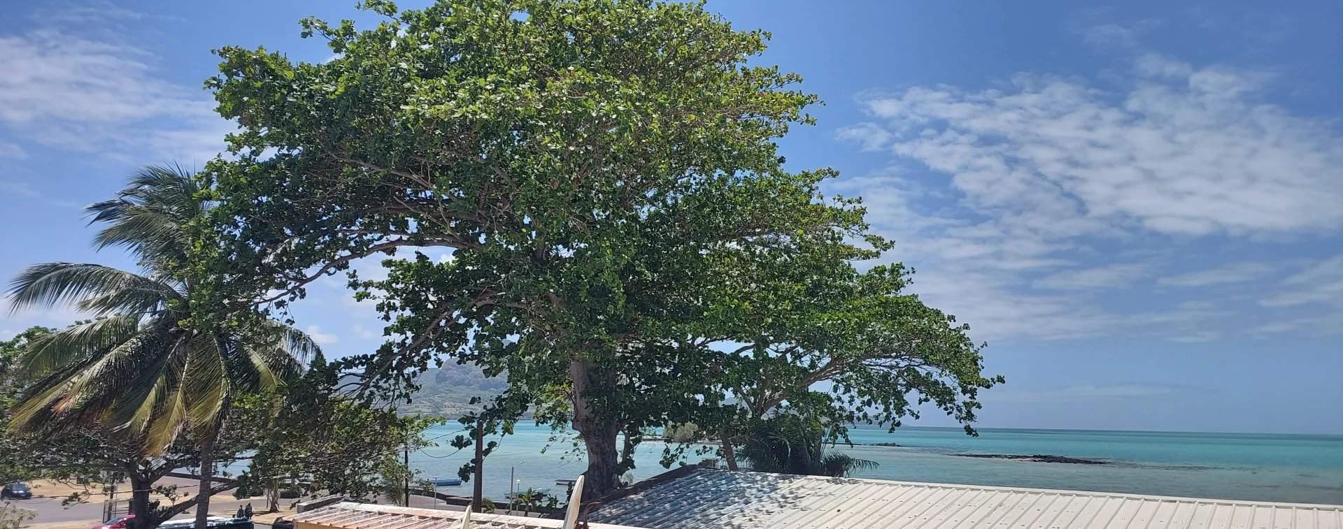 Mahébourg  - Apartment 2 Bedrooms - picture 8