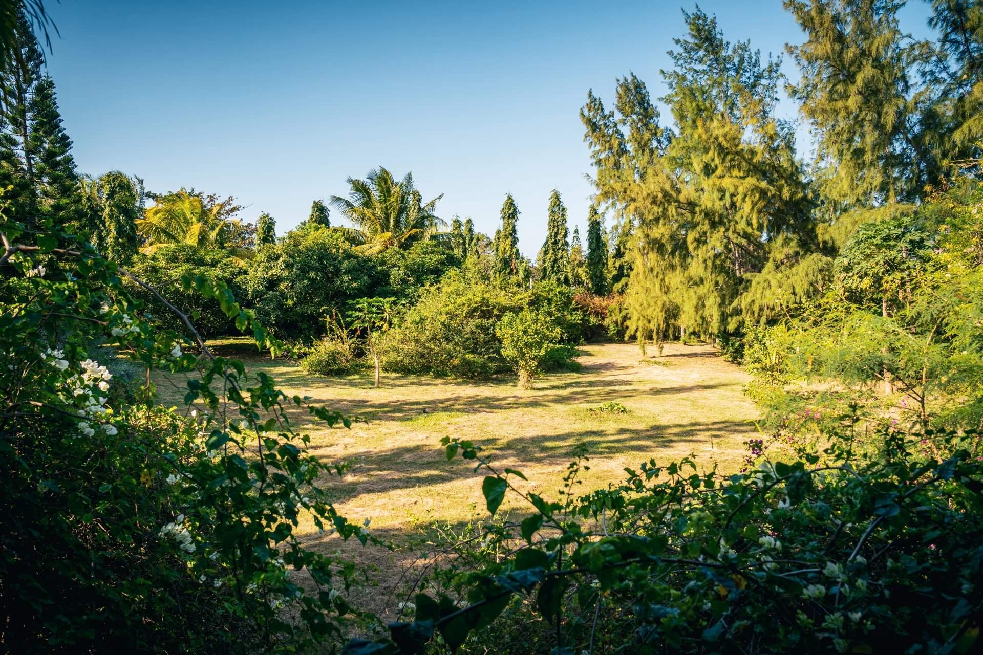 Goodlands  - Maison 10 Pi&egrave;ces 9 Chambres - picture 16