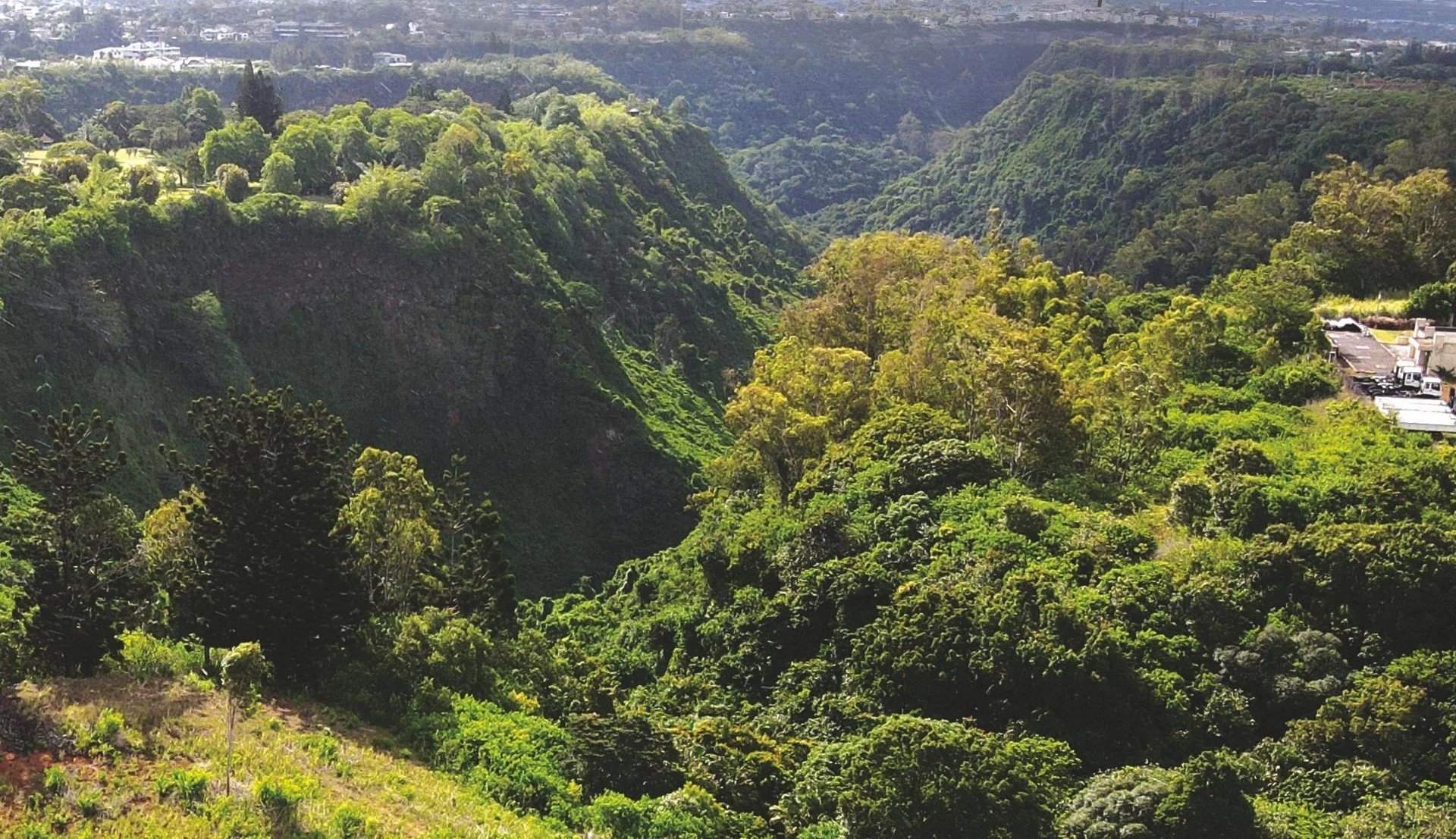 Moka  - Conjunto residencial  - picture 9