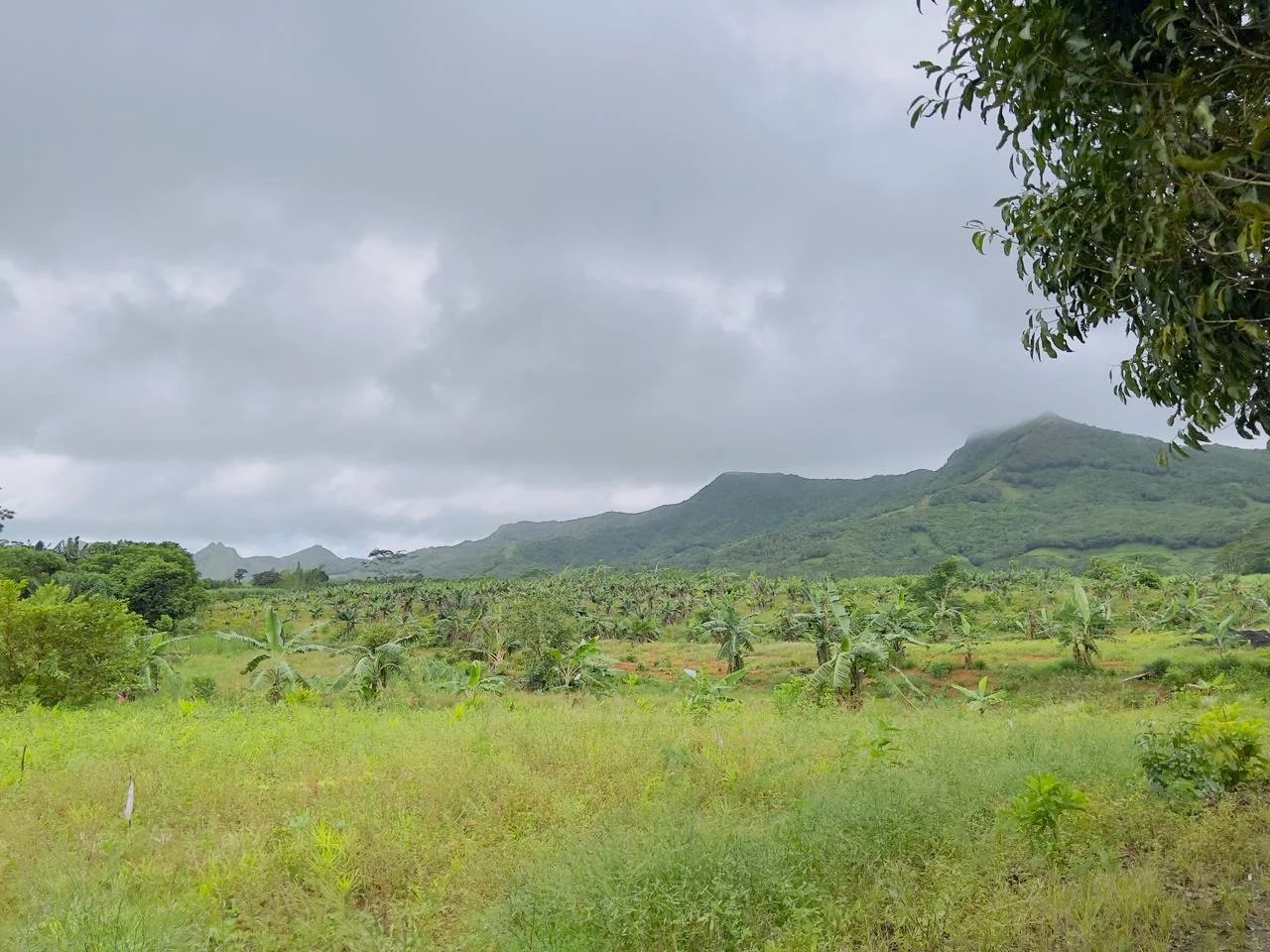 Sébastopol  - Chalet 5 Pi&egrave;ces 4 Chambres - picture 13