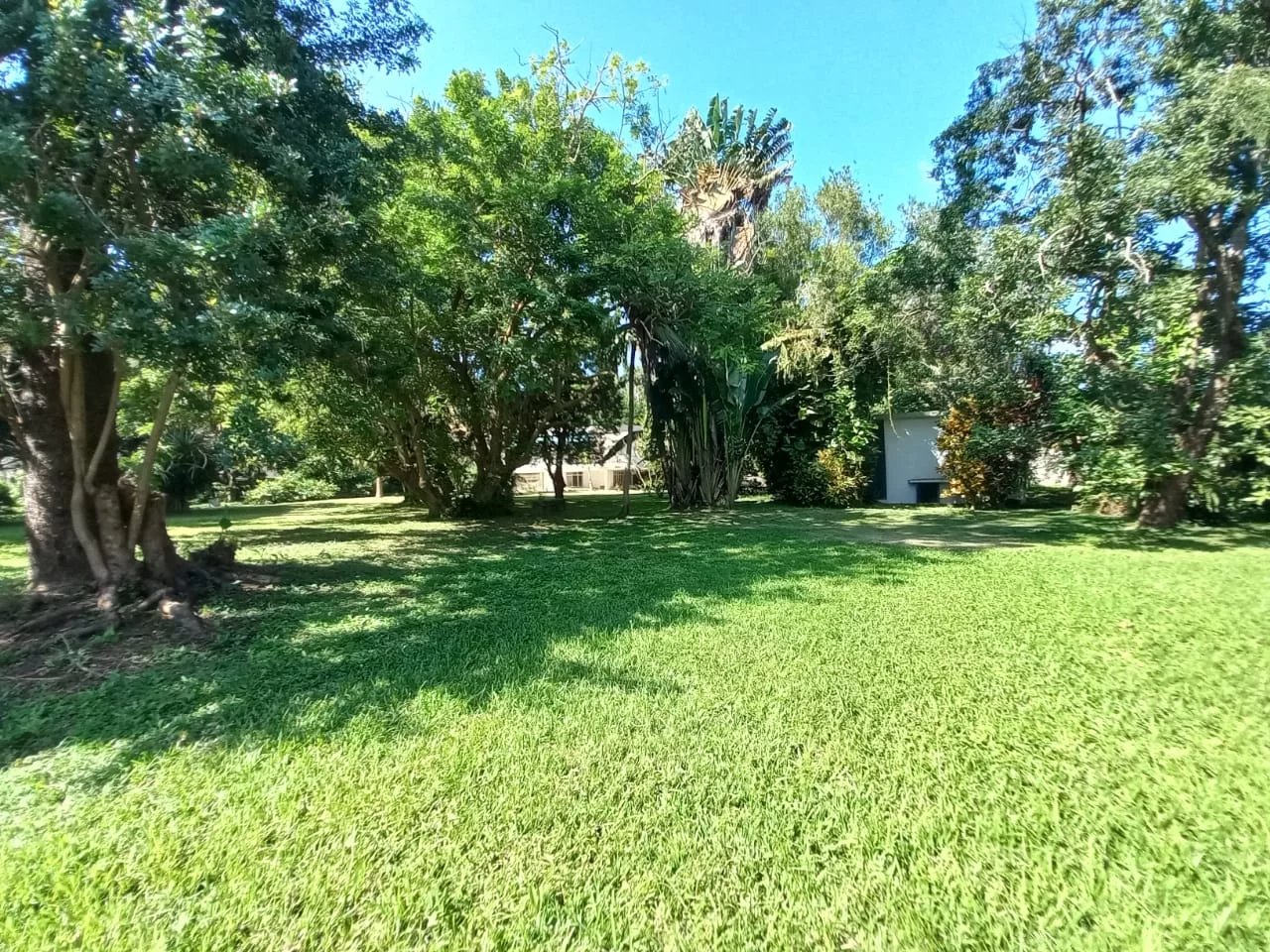 Floréal  - House 4 Bedrooms - picture 11