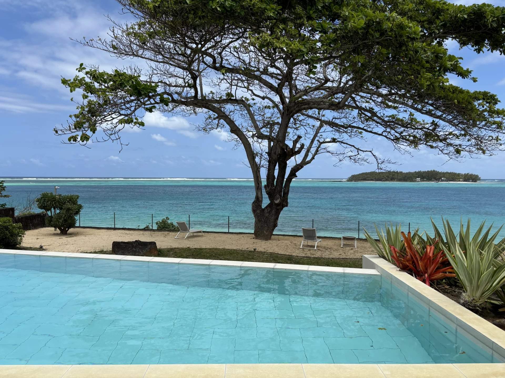 Blue Bay  - Apartment 3 Bedrooms - picture 16