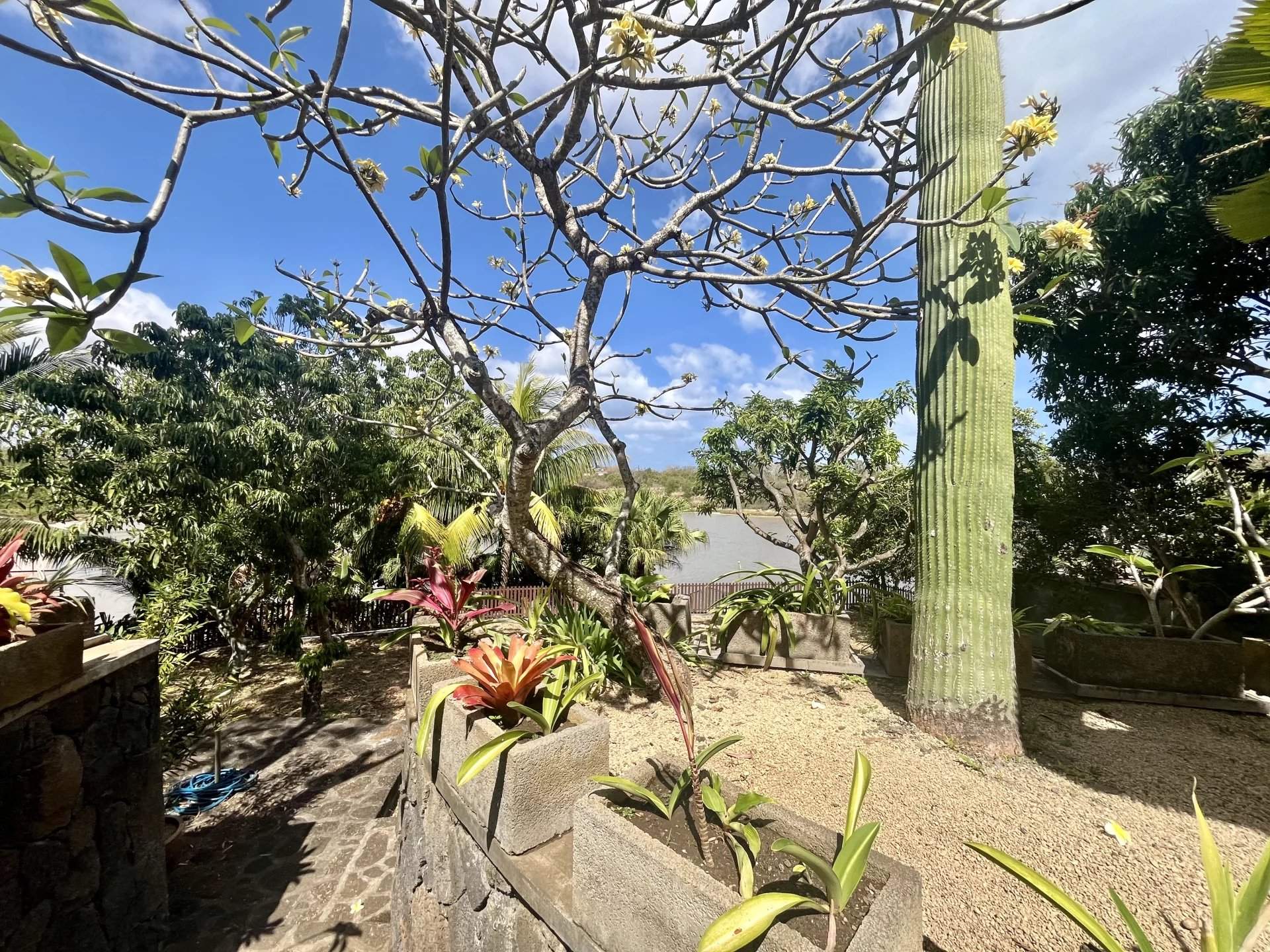 Grand Baie  - Casa 4 Cuartos 3 Habitaciones - picture 7