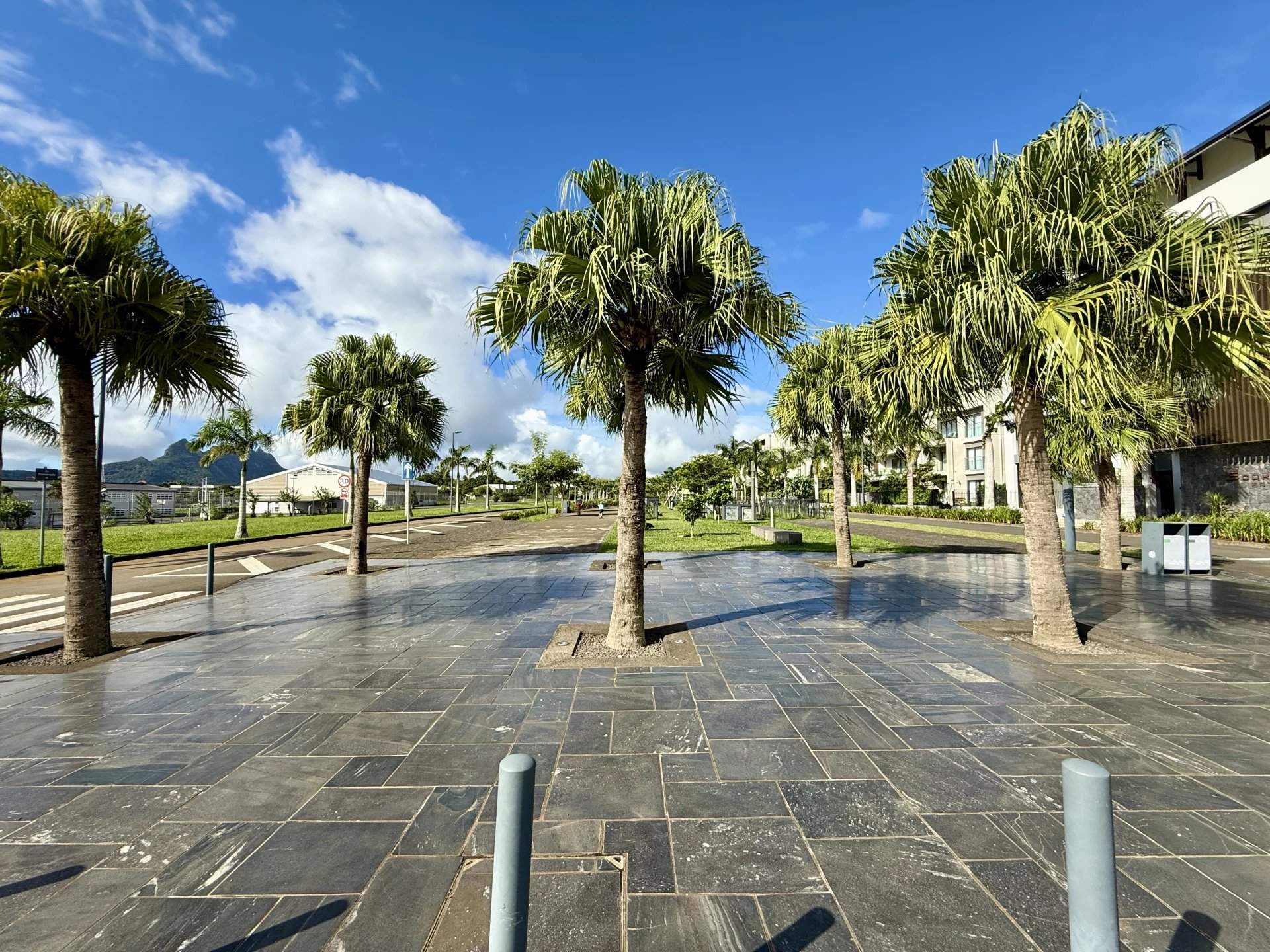 Moka  - Bureaux  - picture 2