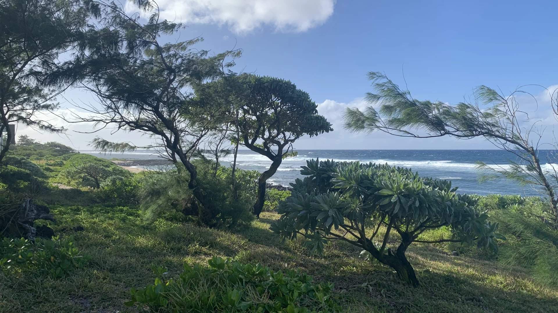 Poste Lafayette  - Plot of land  - picture 2