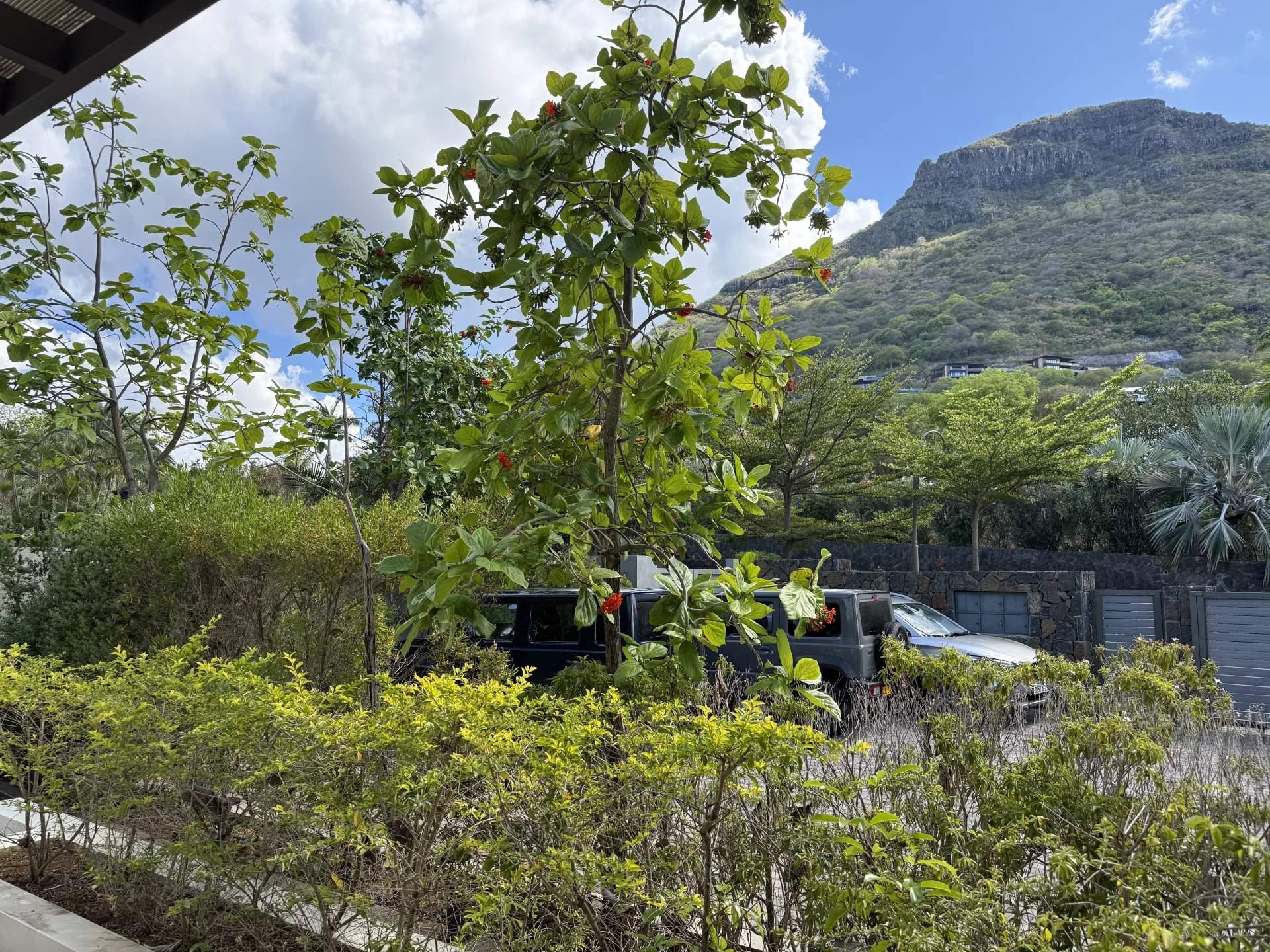 Rivière Noire  - Piso 3 Cuartos 2 Habitaciones - picture 13