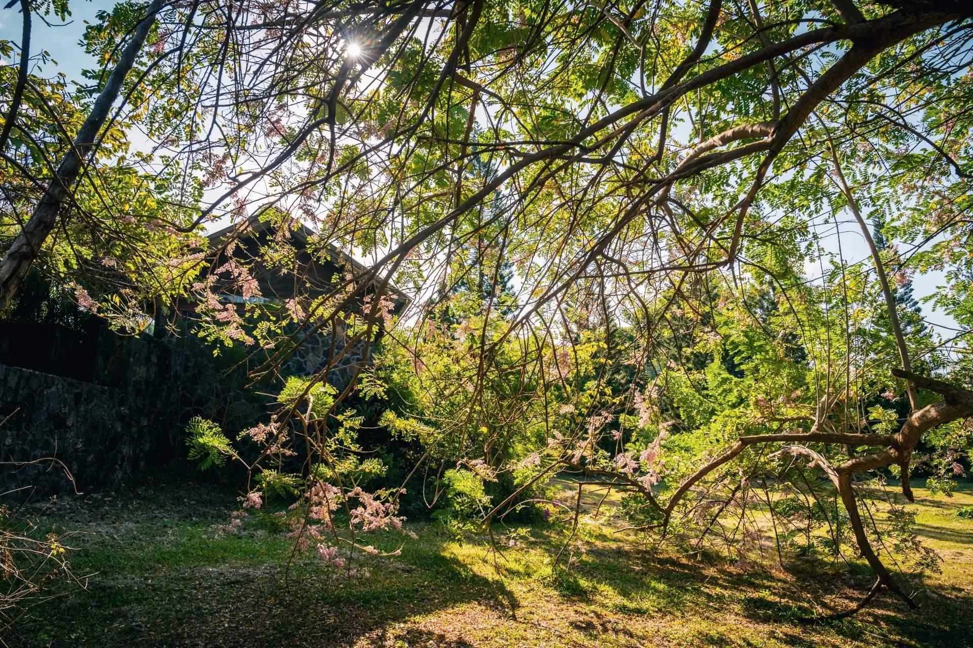 Goodlands  - Maison 10 Pi&egrave;ces 9 Chambres - picture 13