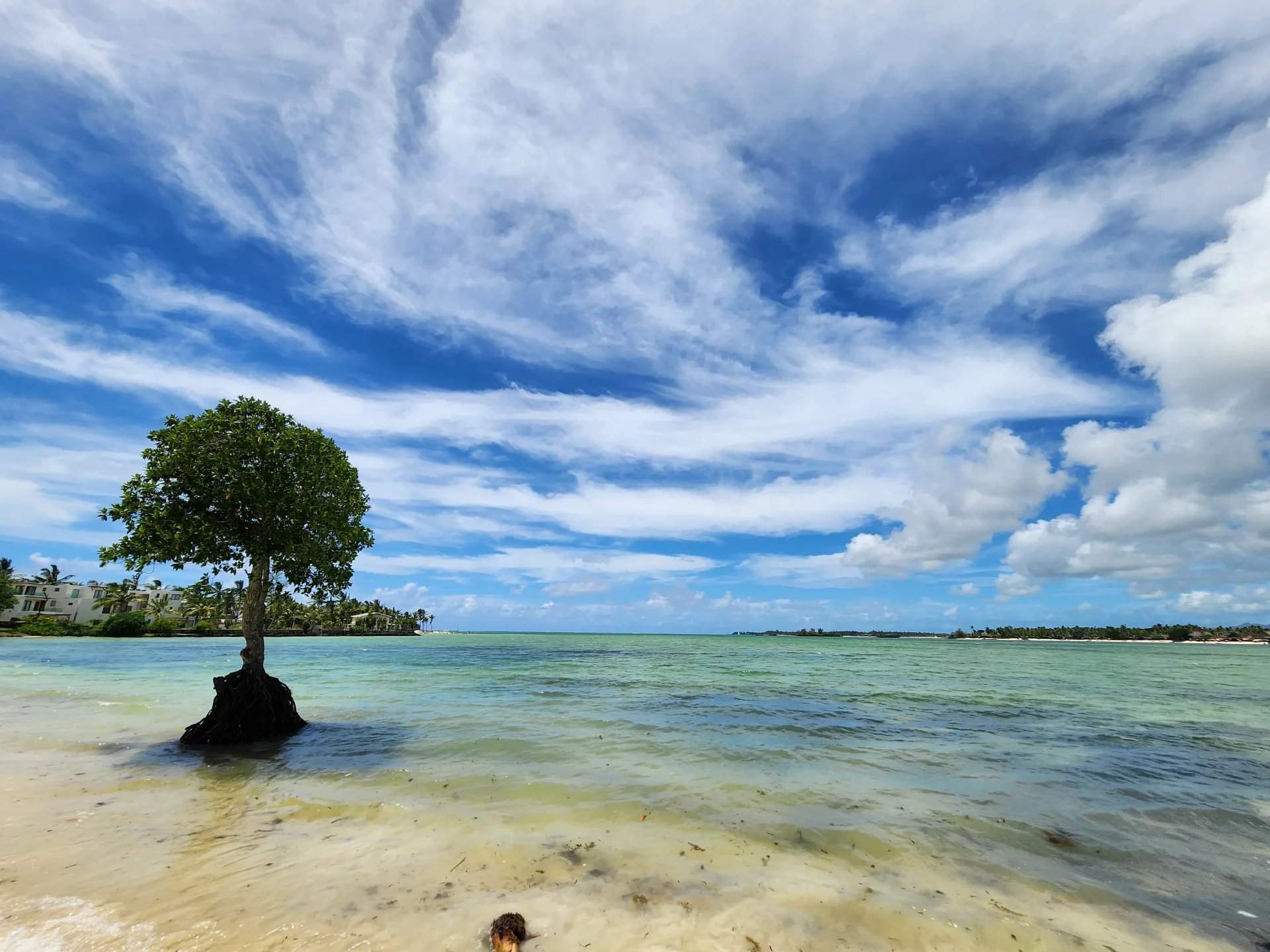 Poste Lafayette  - Apartment 3 Bedrooms - picture 12