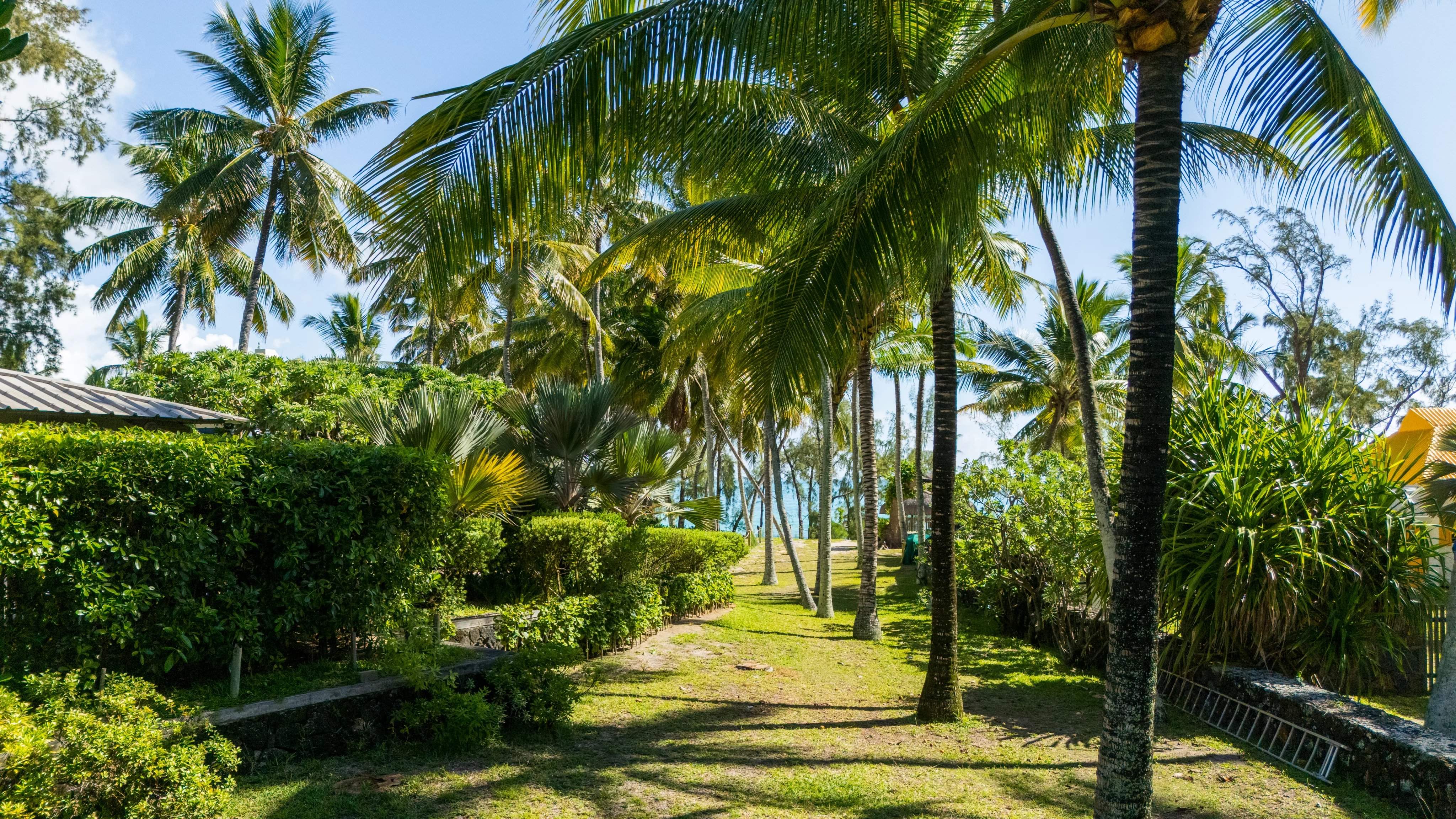 Belle Mare  - Propriété 6 Pi&egrave;ces 5 Chambres - picture 4