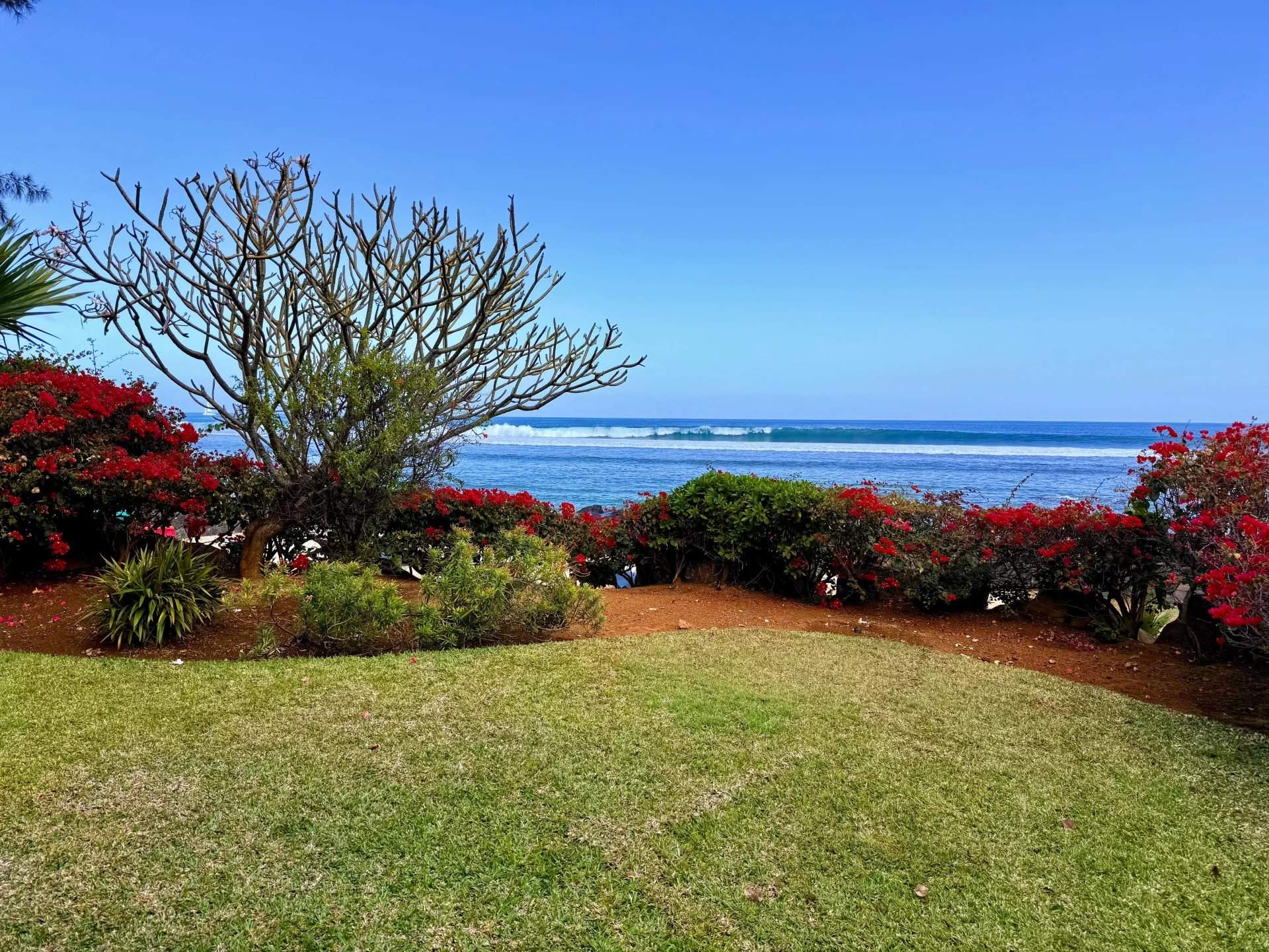 Tamarin  - Apartment 3 Bedrooms - picture 12