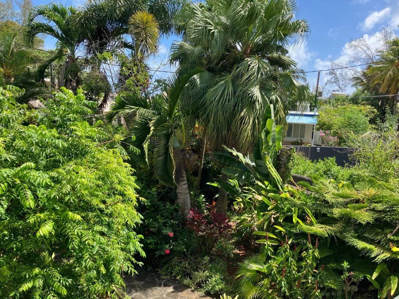 Roches Noires  - Property 7 Bedrooms - picture 2