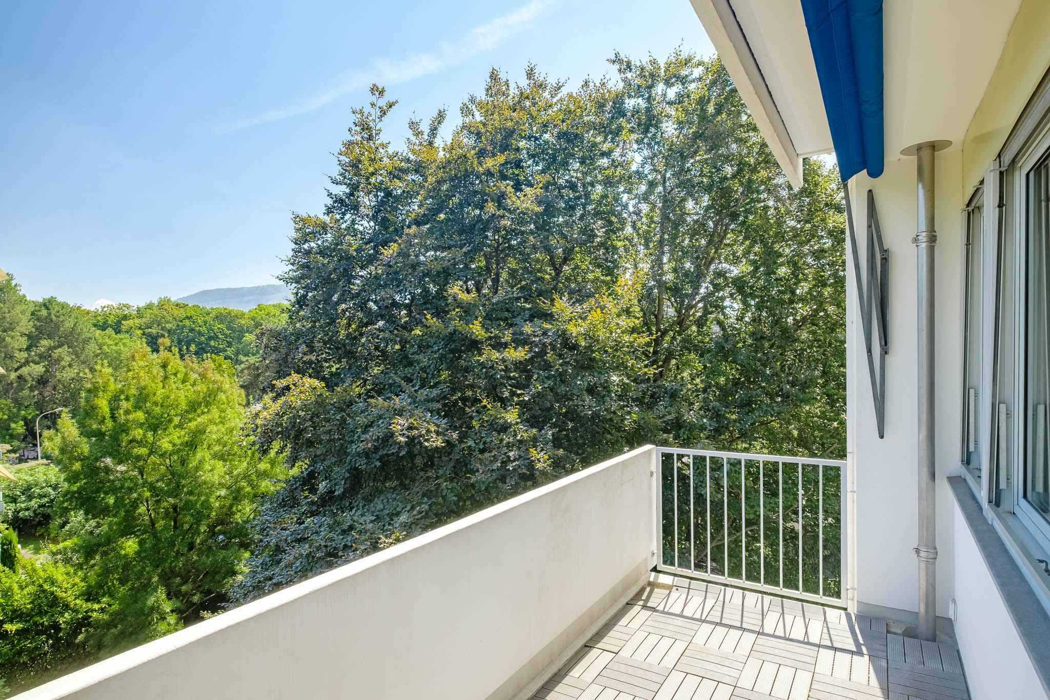 Malagnou  - Apartment 4 Bedrooms