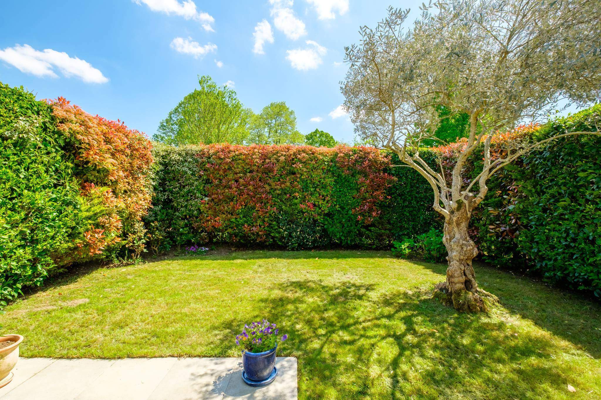 Troinex  - Appartement 6.0 Pi&egrave;ces 4 Chambres - picture 18