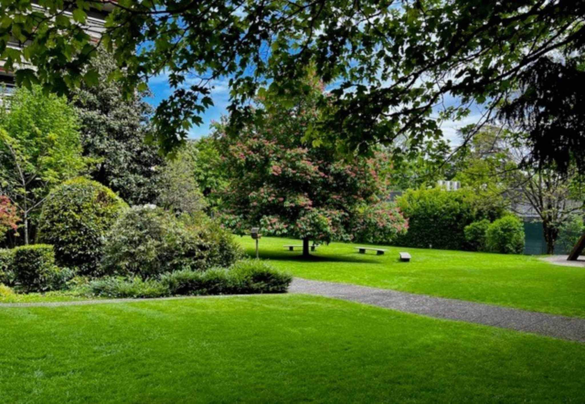 Genève  - Apartment 4 Bedrooms - picture 12