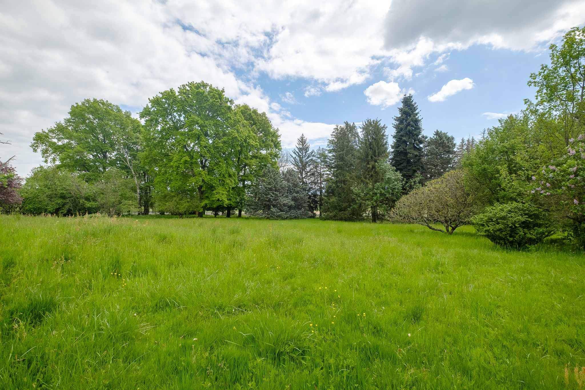 Satigny  - House 9 Bedrooms - picture 13