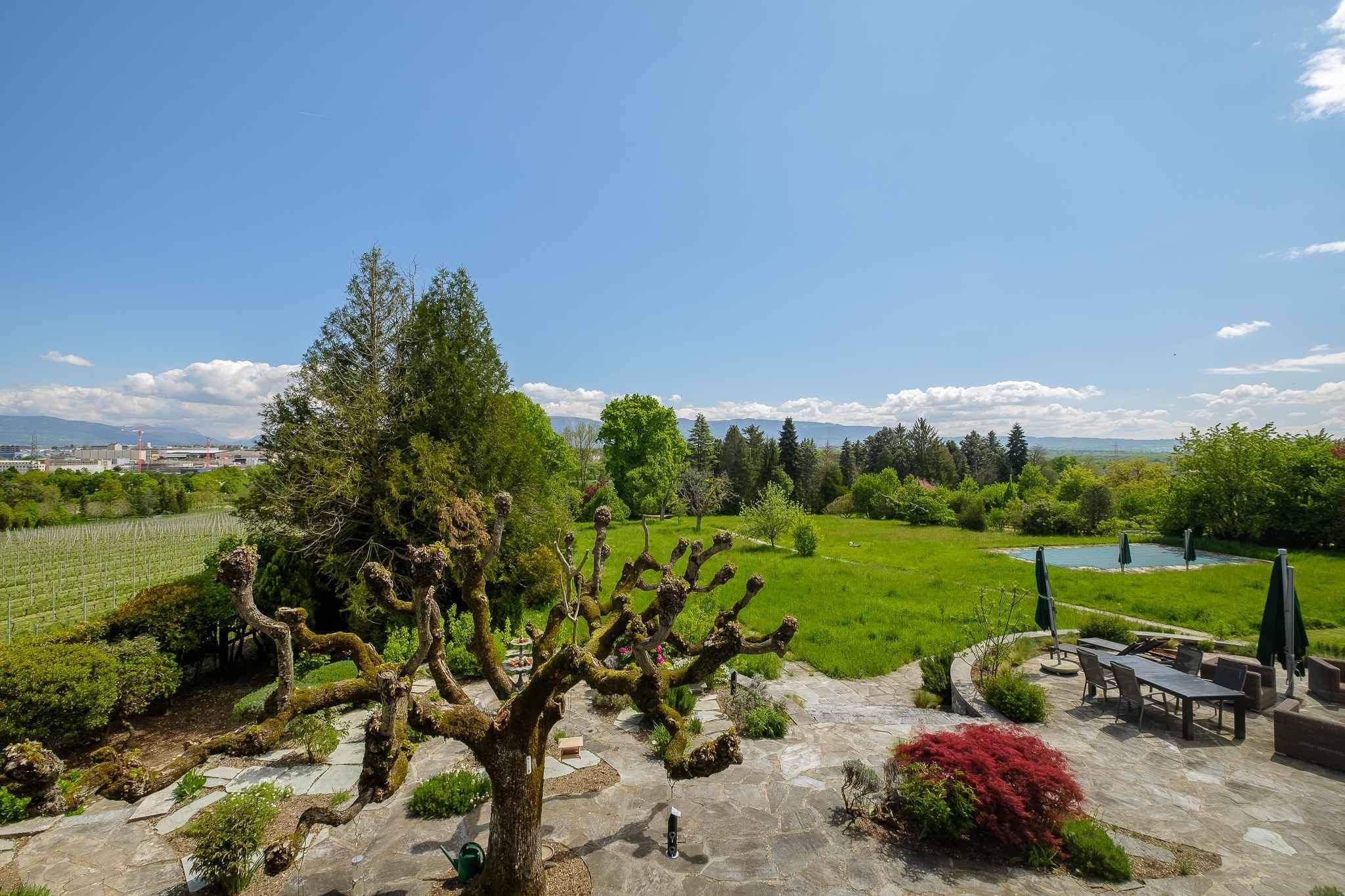 Satigny  - House 9 Bedrooms - picture 7