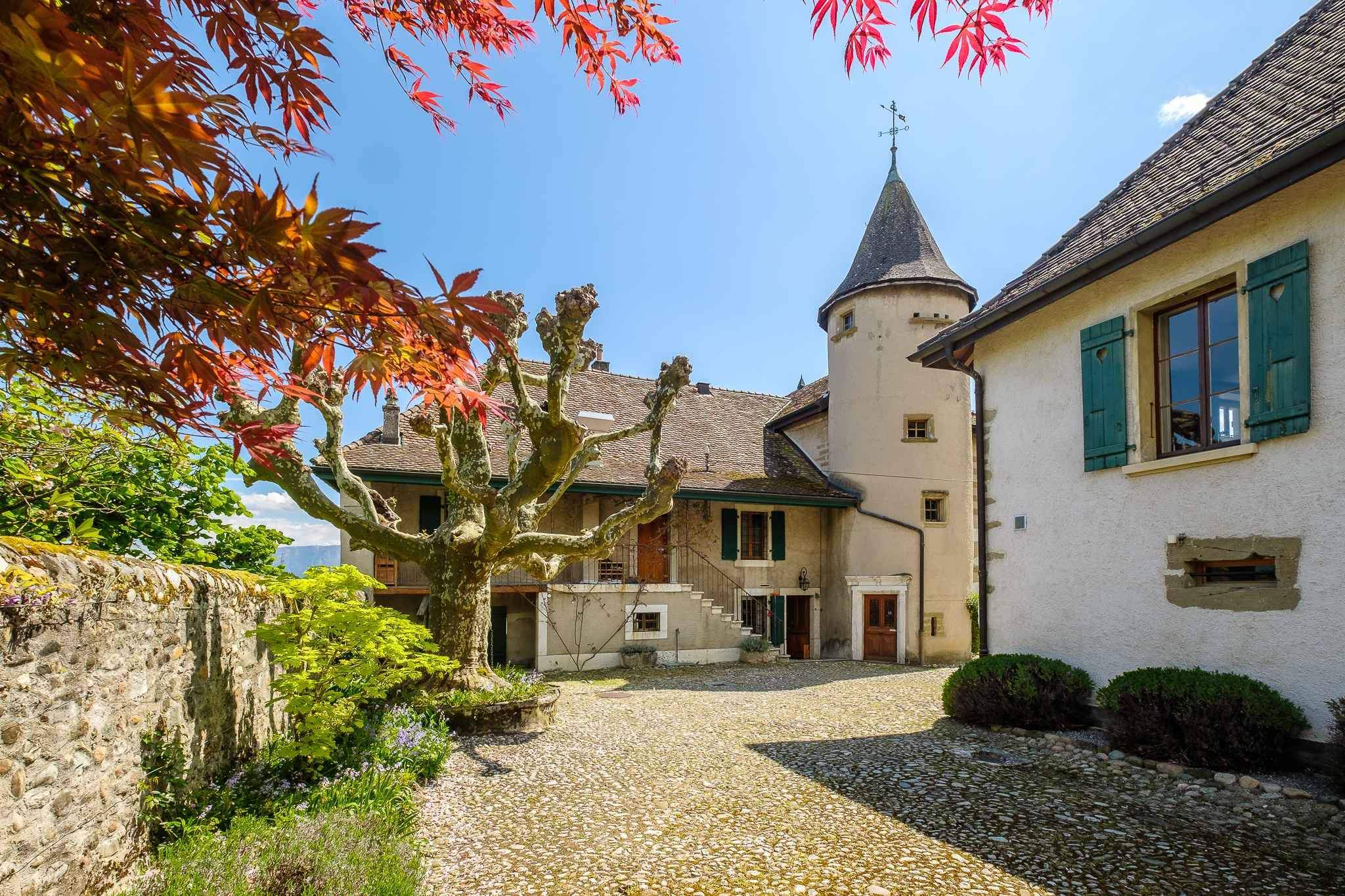 Satigny  - House 9 Bedrooms - picture 14