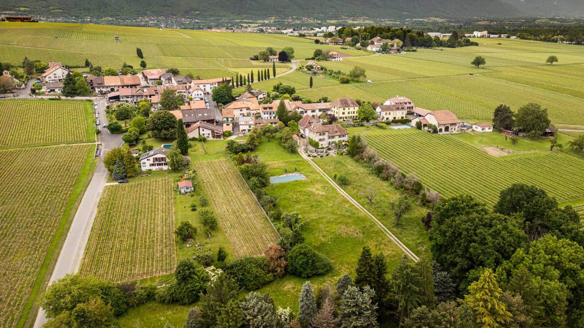 Satigny  - House 9 Bedrooms - picture 16