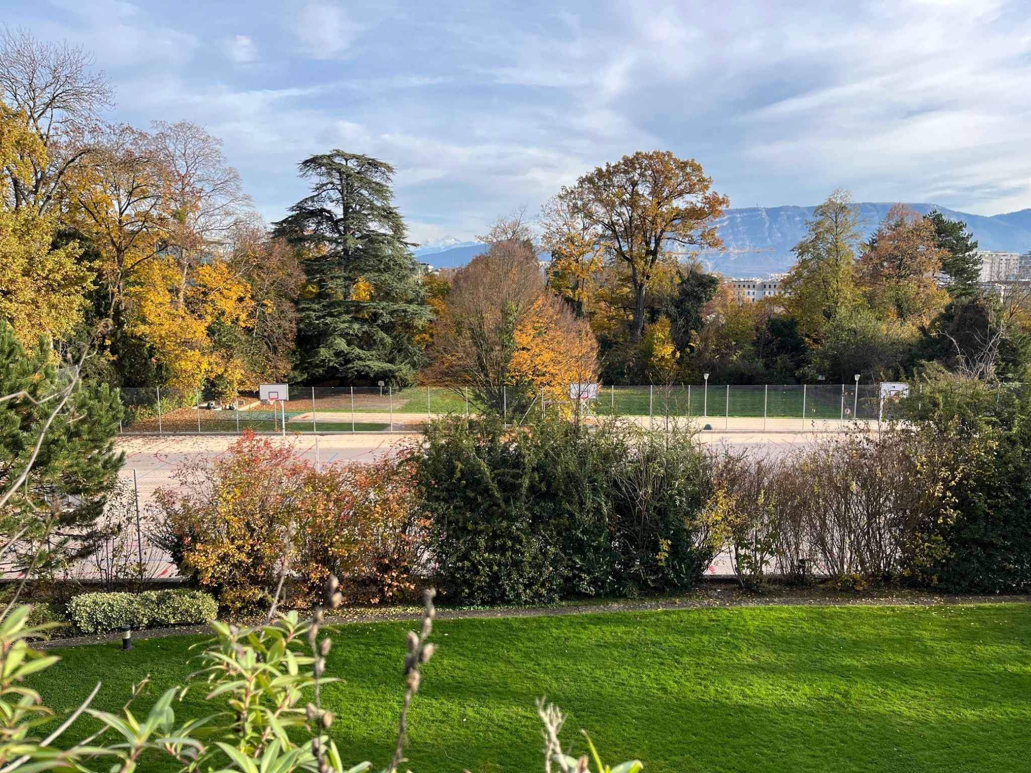 Genève  - Apartment 4 Bedrooms - picture 10