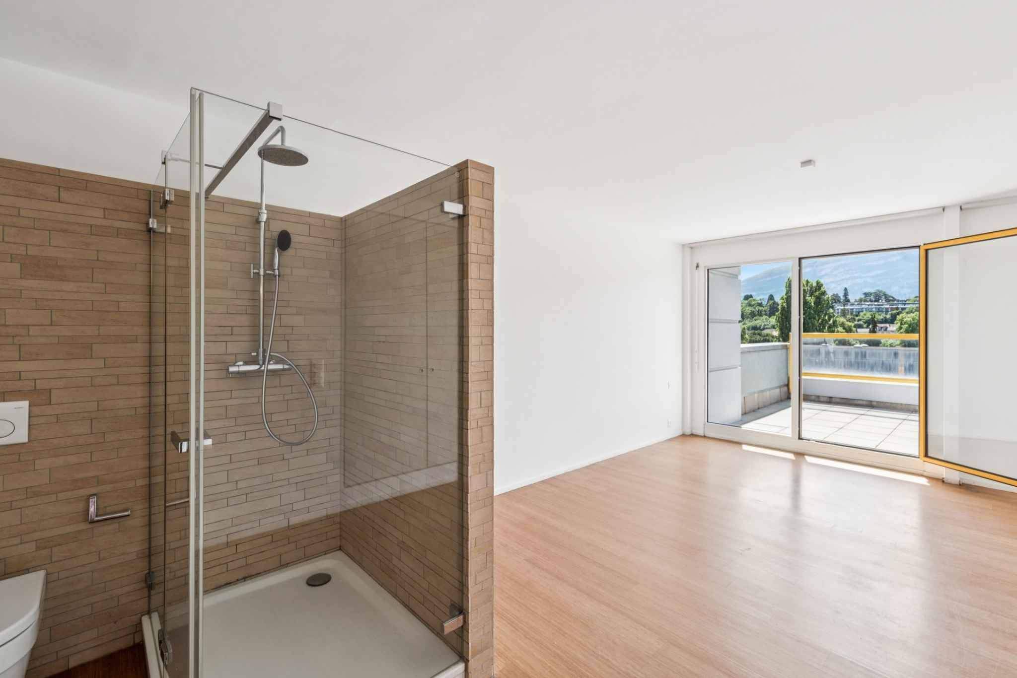 Carouge GE  - Attique 4.0 Pi&egrave;ces 2 Chambres - picture 7