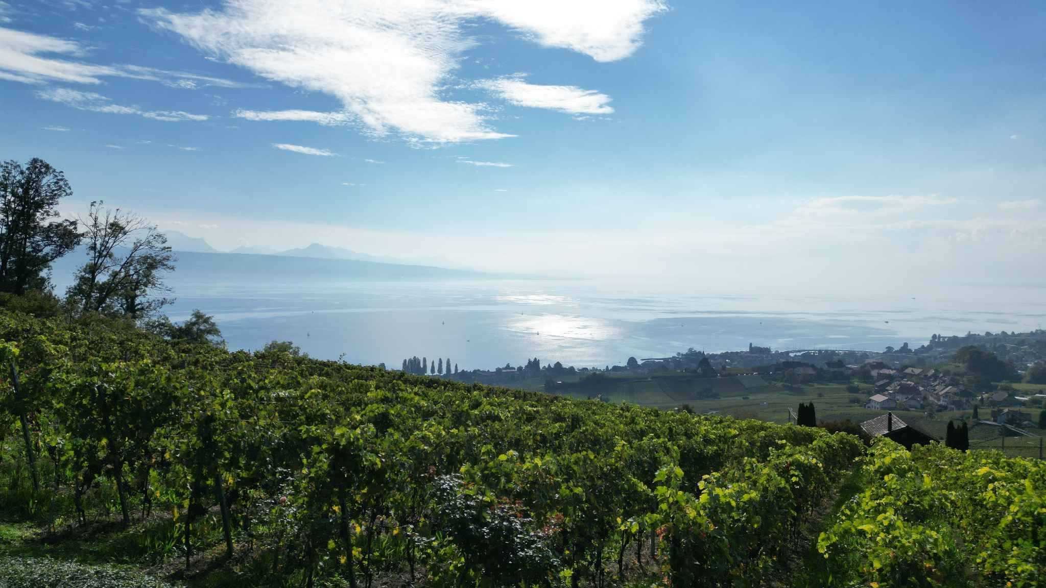 Lutry  - Maison 10.5 Pi&egrave;ces 5 Chambres