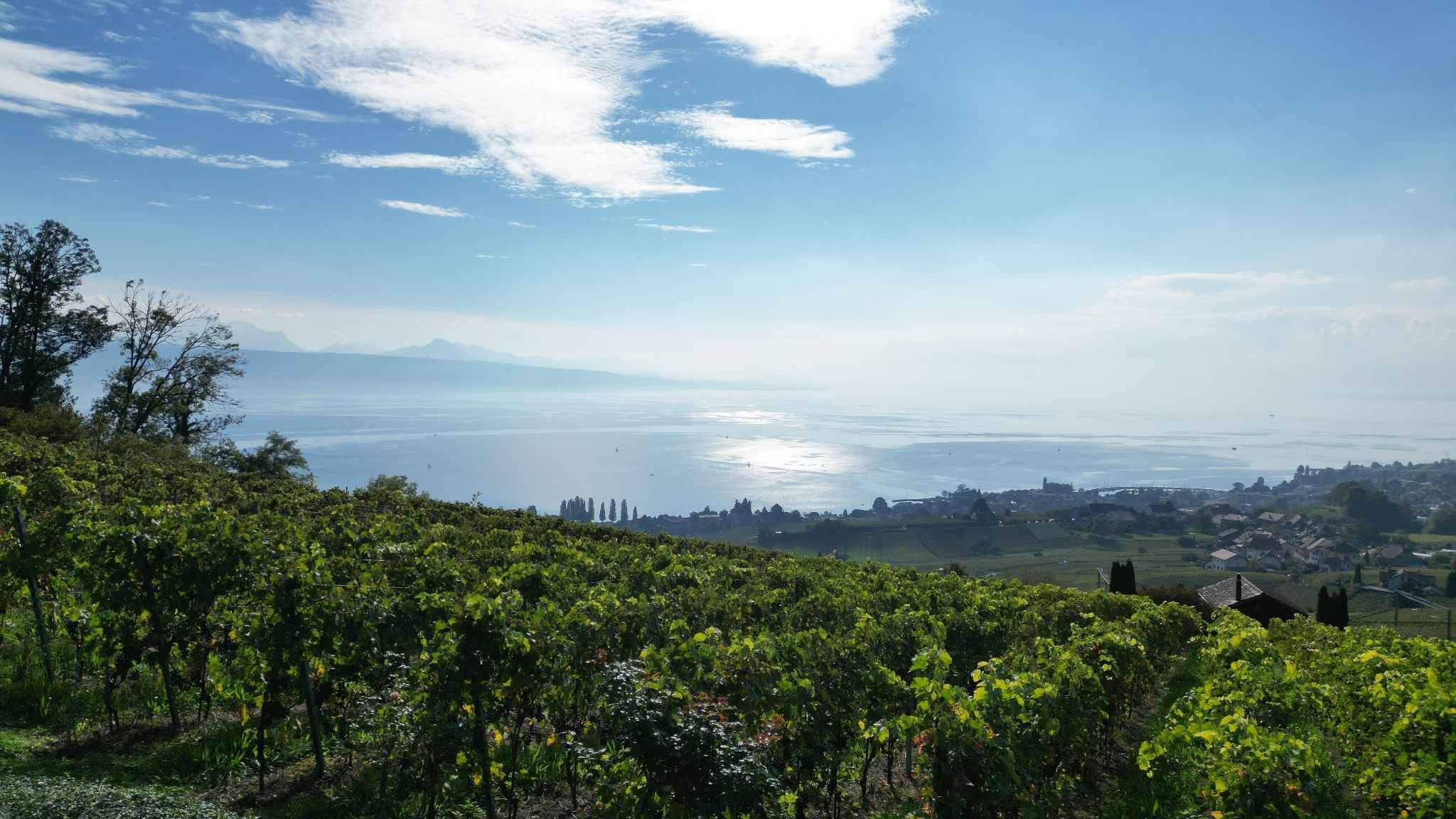 Lutry  - House 5 Bedrooms - picture 7