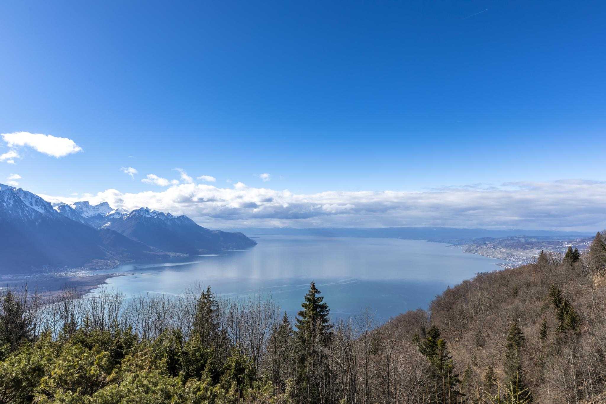 Montreux  - House 3 Bedrooms