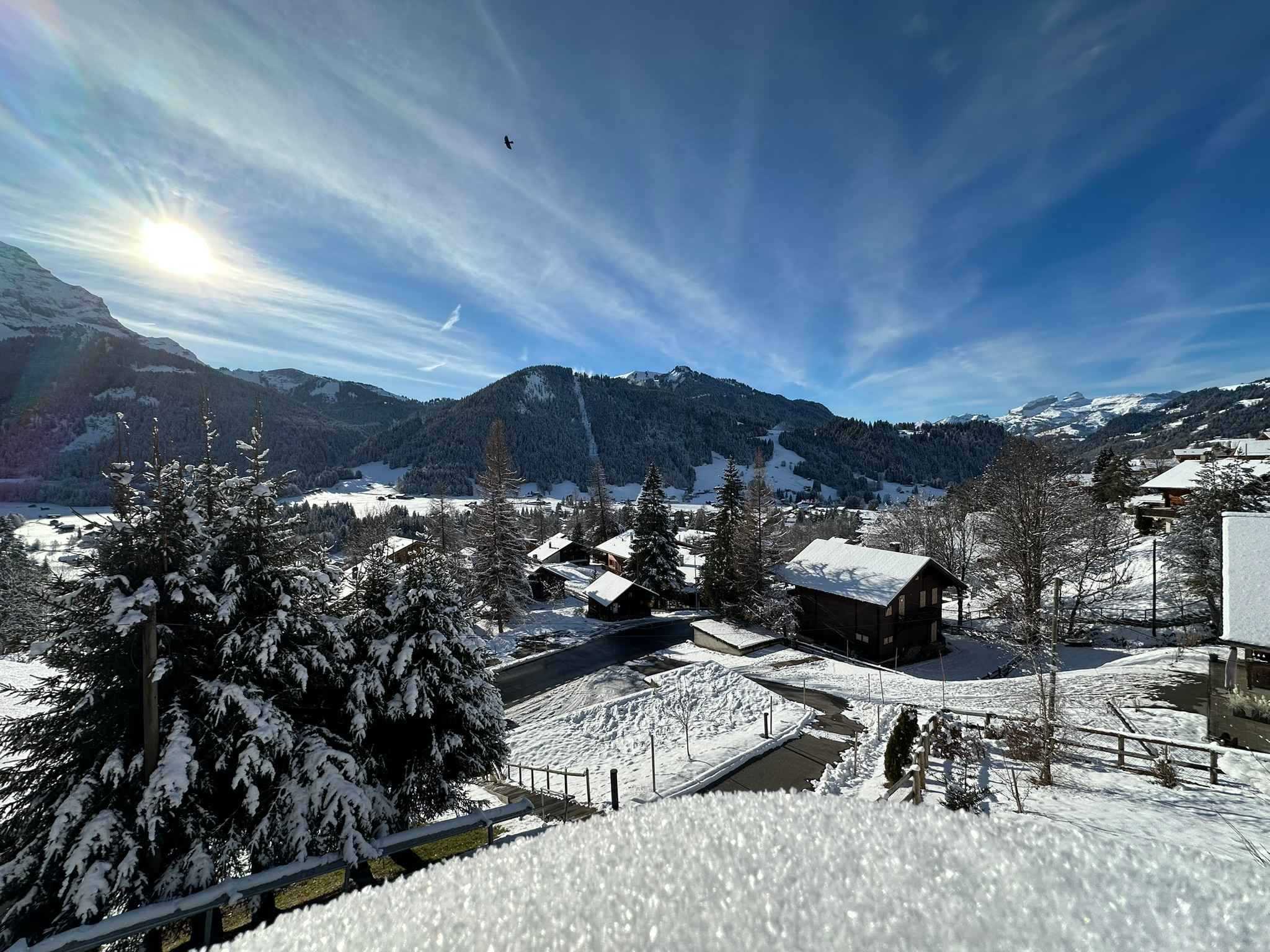 Les Diablerets  - House 4 Bedrooms