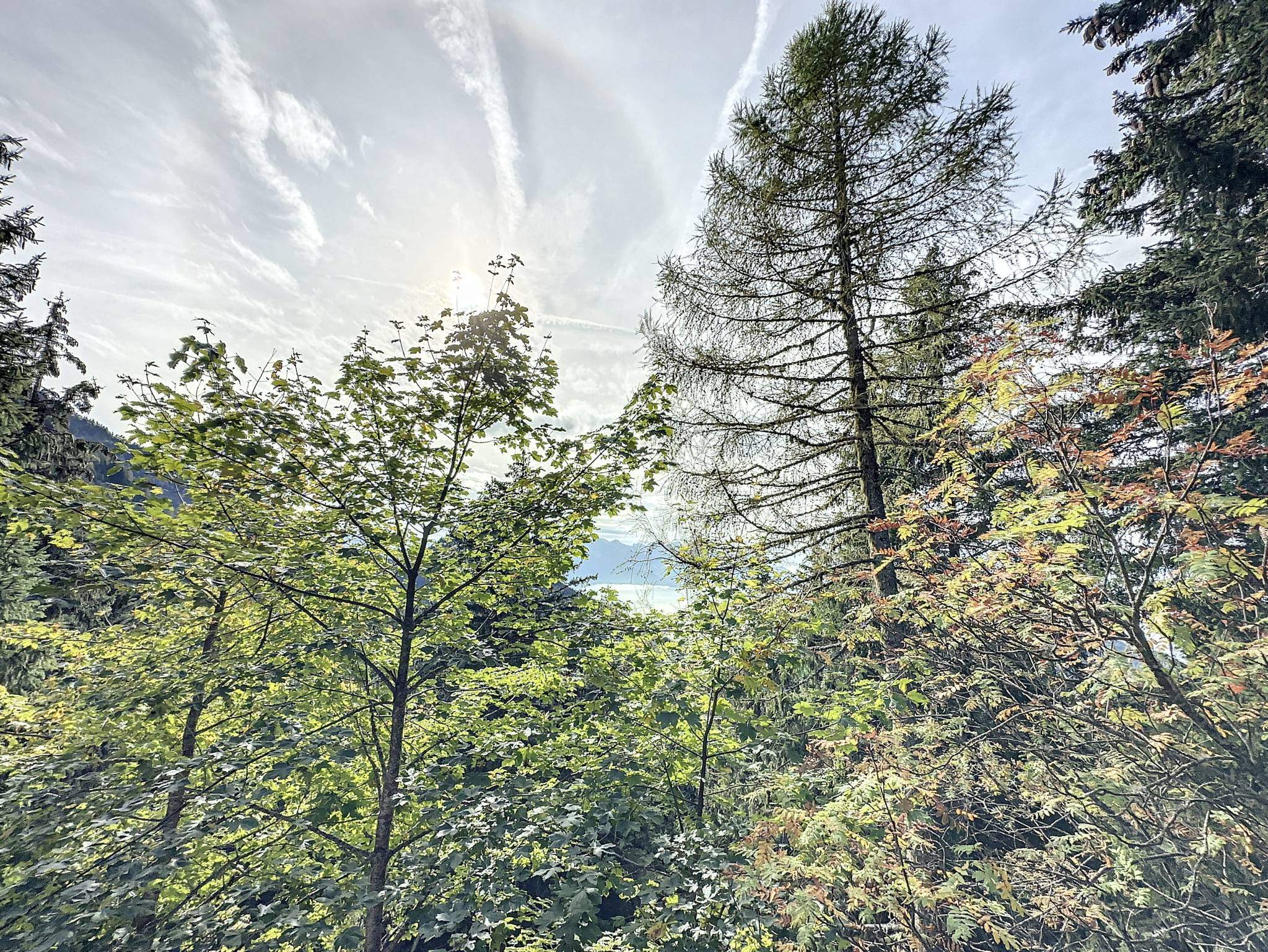 Montreux  - Maison 3.5 Pi&egrave;ces 2 Chambres - picture 10