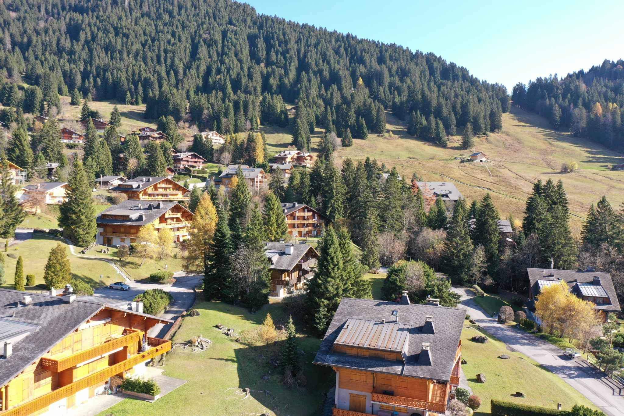 Villars-sur-Ollon  - Apartment 3 Bedrooms - picture 12