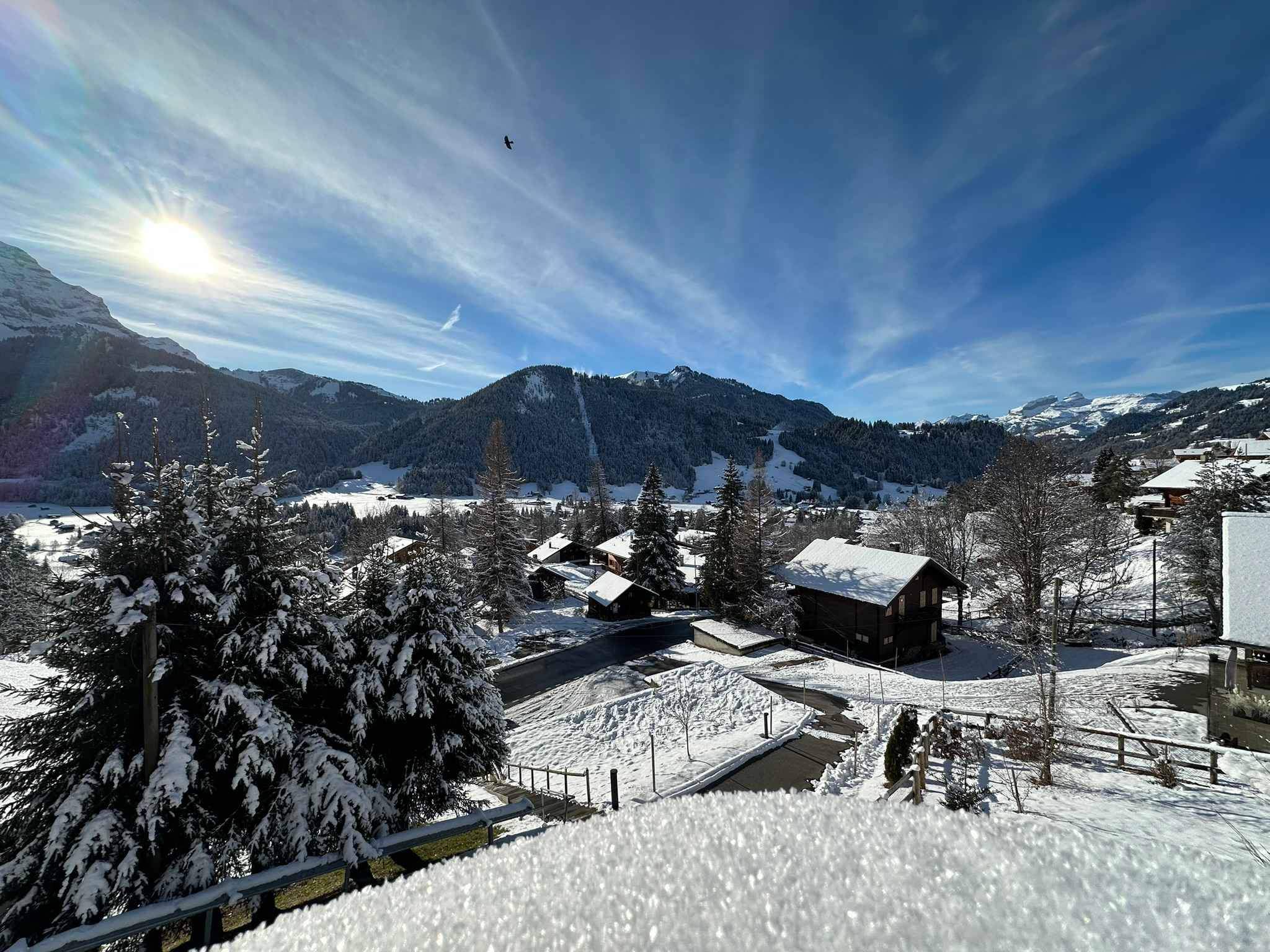 Les Diablerets  - House 4 Bedrooms - picture 4