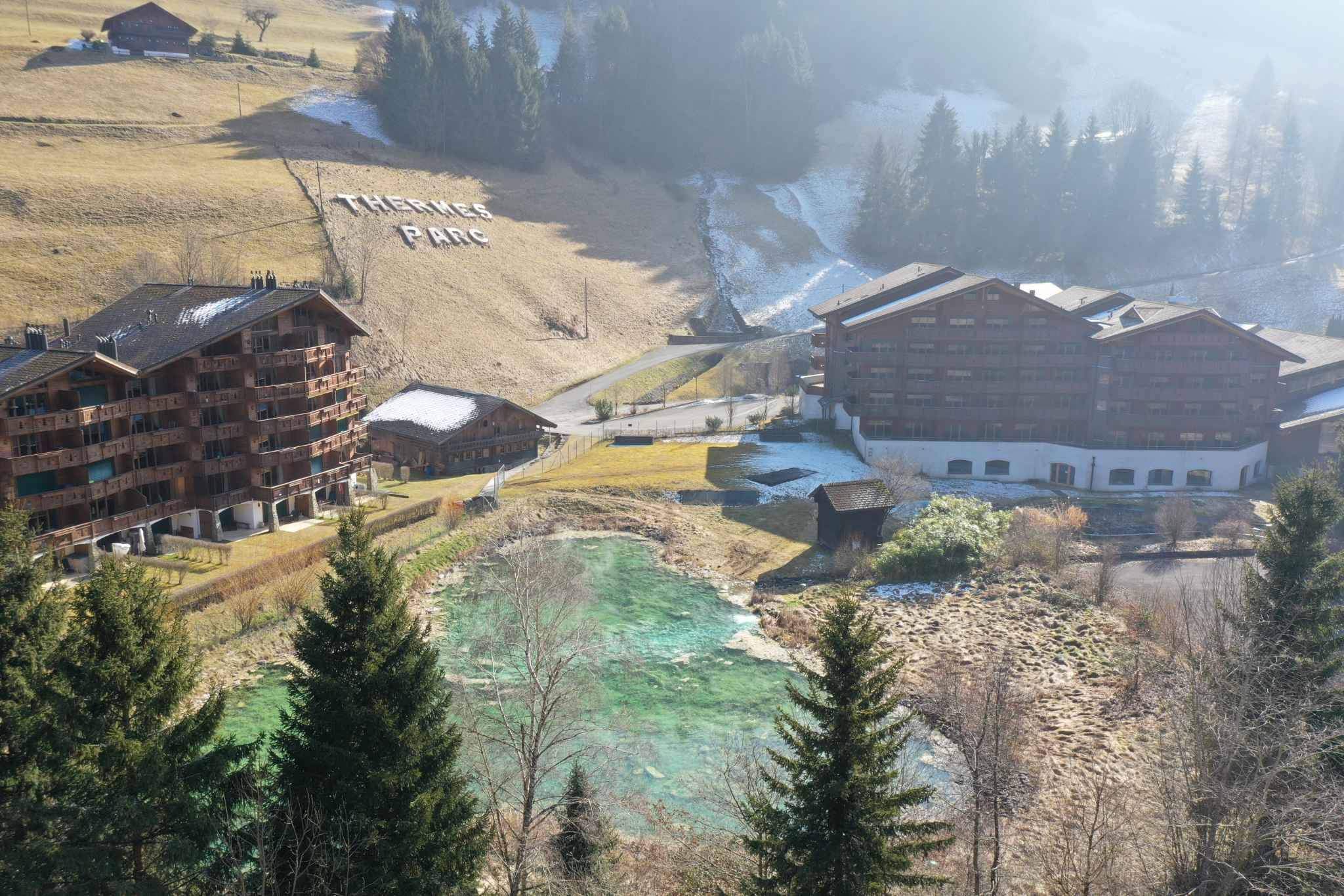 Val-d'Illiez  - Apartment 1 Bedroom - picture 9