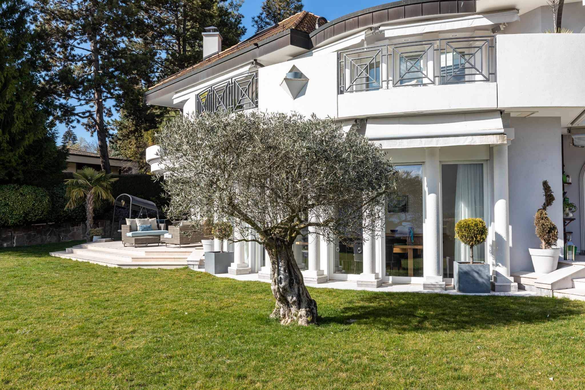 Blonay  - House 6 Bedrooms - picture 4