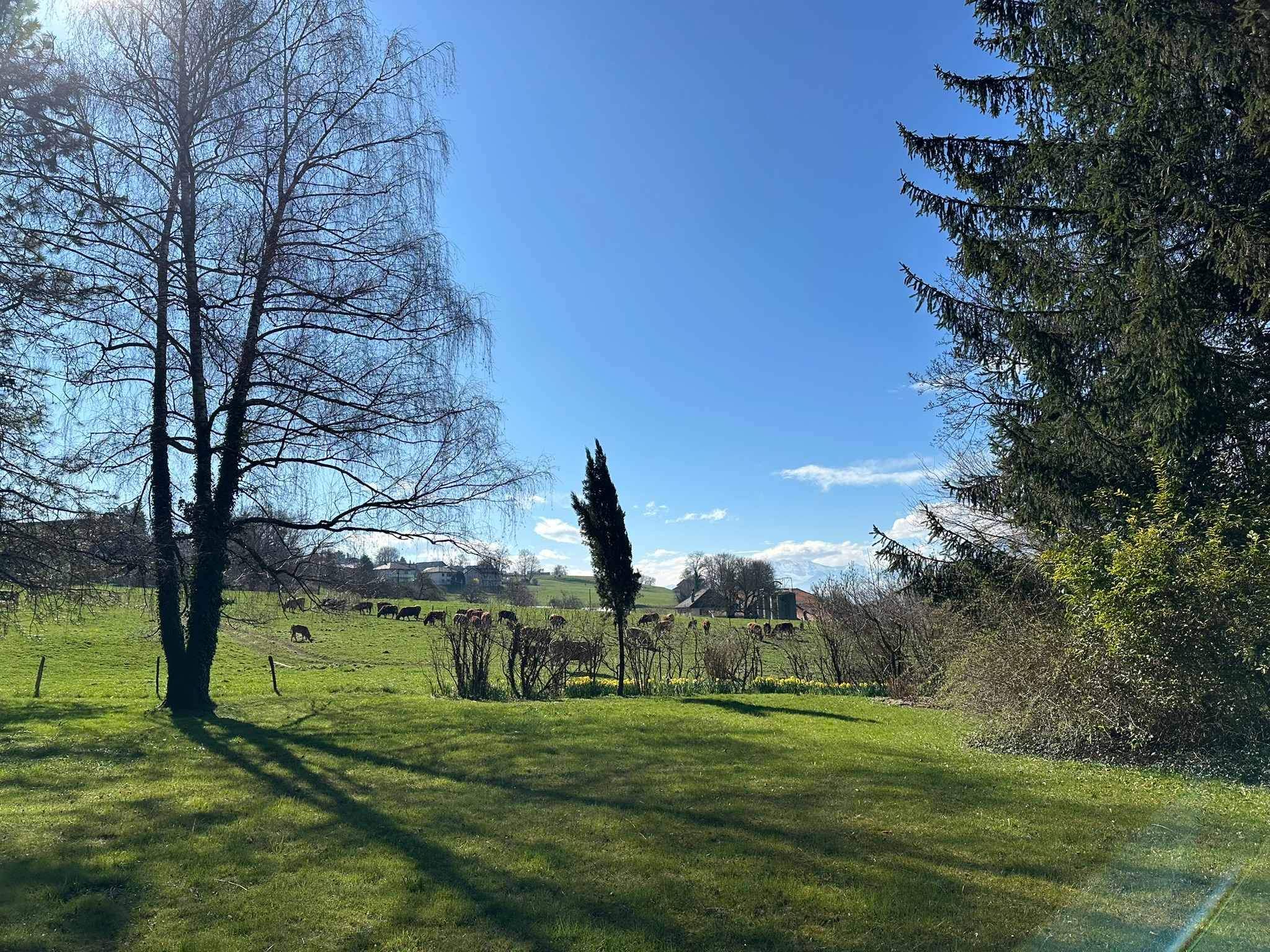 Attalens  - House 6 Bedrooms - picture 11